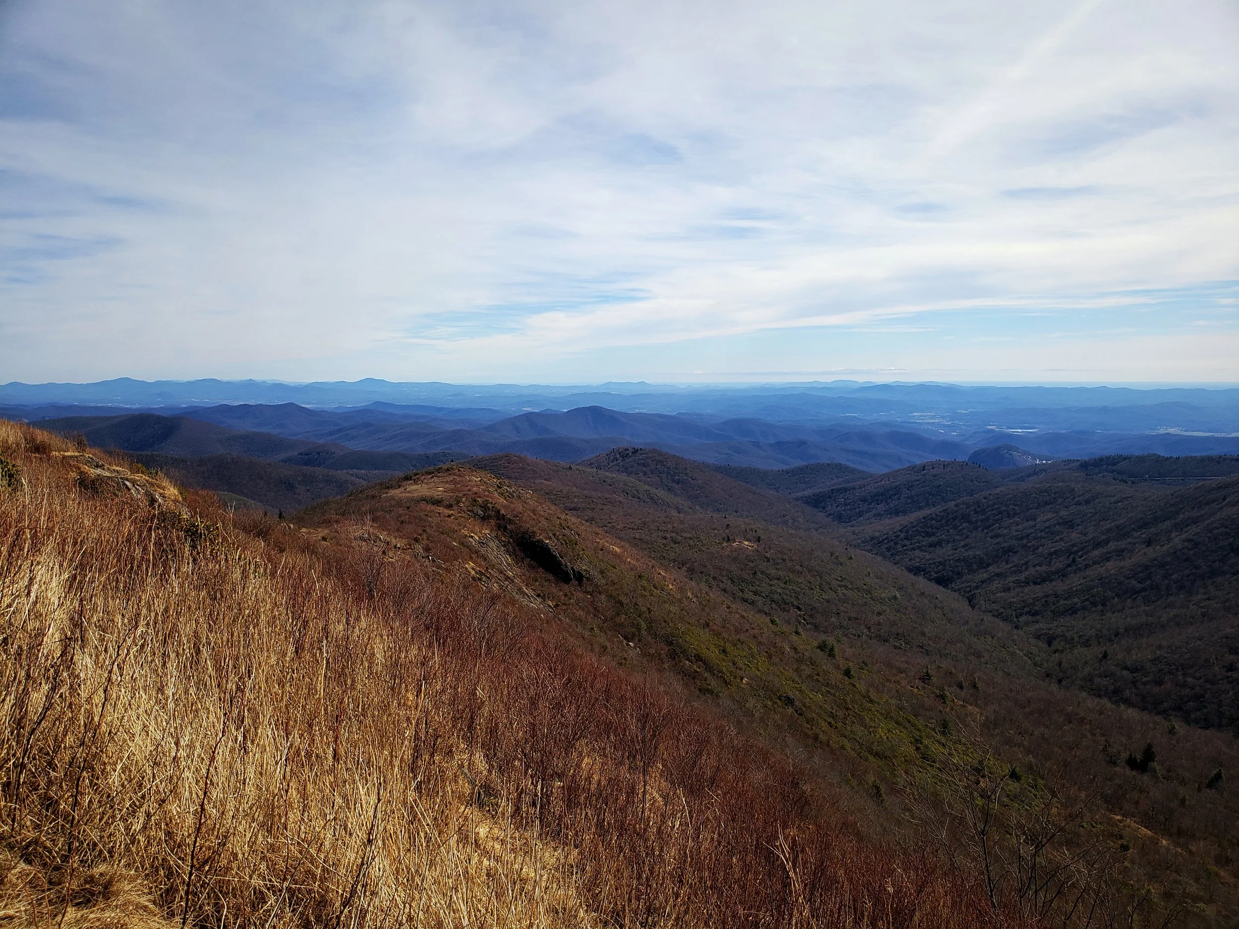 The views along the Blue Ridge Parkway are beautiful, and remarkably blue!