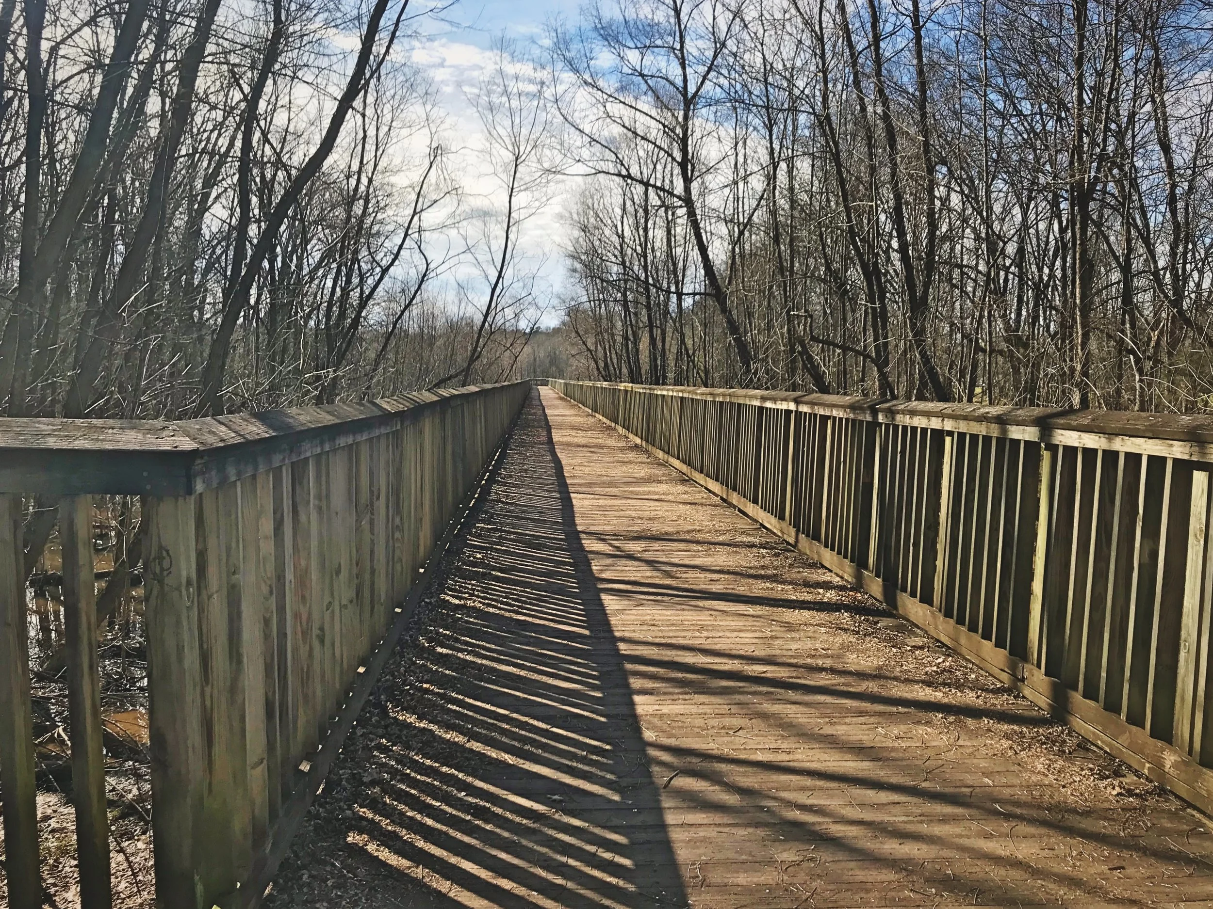 The Mallard Creek Greenway makes it easy to forget that you are in the middle of a very urban area.