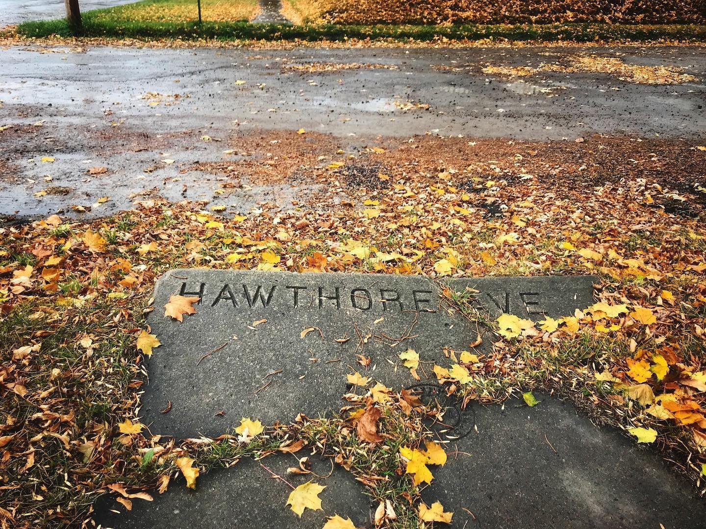 Spotted on a rainy day. But not on Hawthorne Ave. There&rsquo;s not even a Hawthorne Avenue in this town. 
.
.
.
.
.
#unsolvedmysteries #mysterious #hawthorne #fallvibes #streetsign #autumnleaves #halloweenmystery #rainyvibes #autumn #runningdiscover