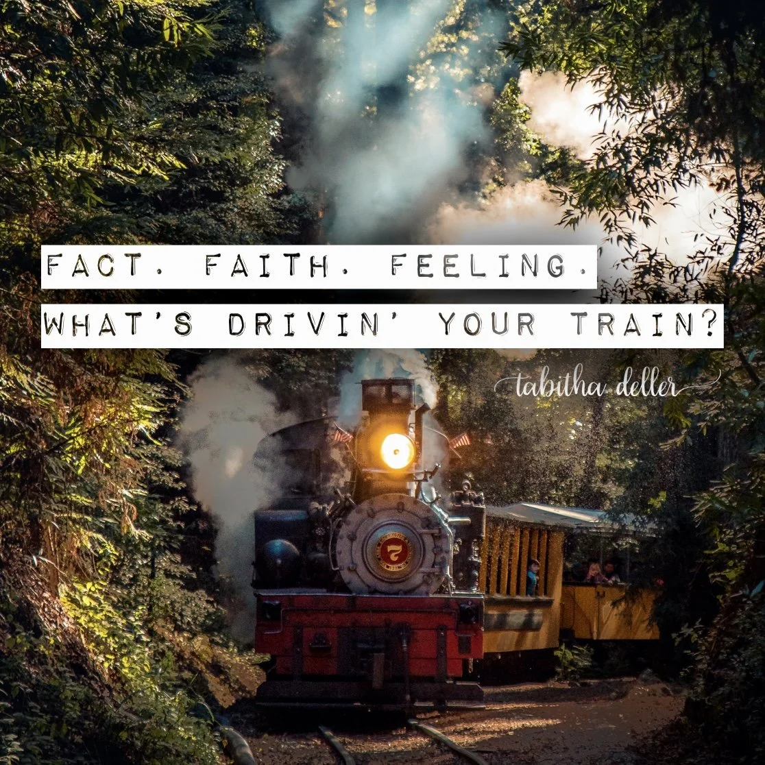 Fact. Faith. Feeling. What’s Drivin’ Your Train?
