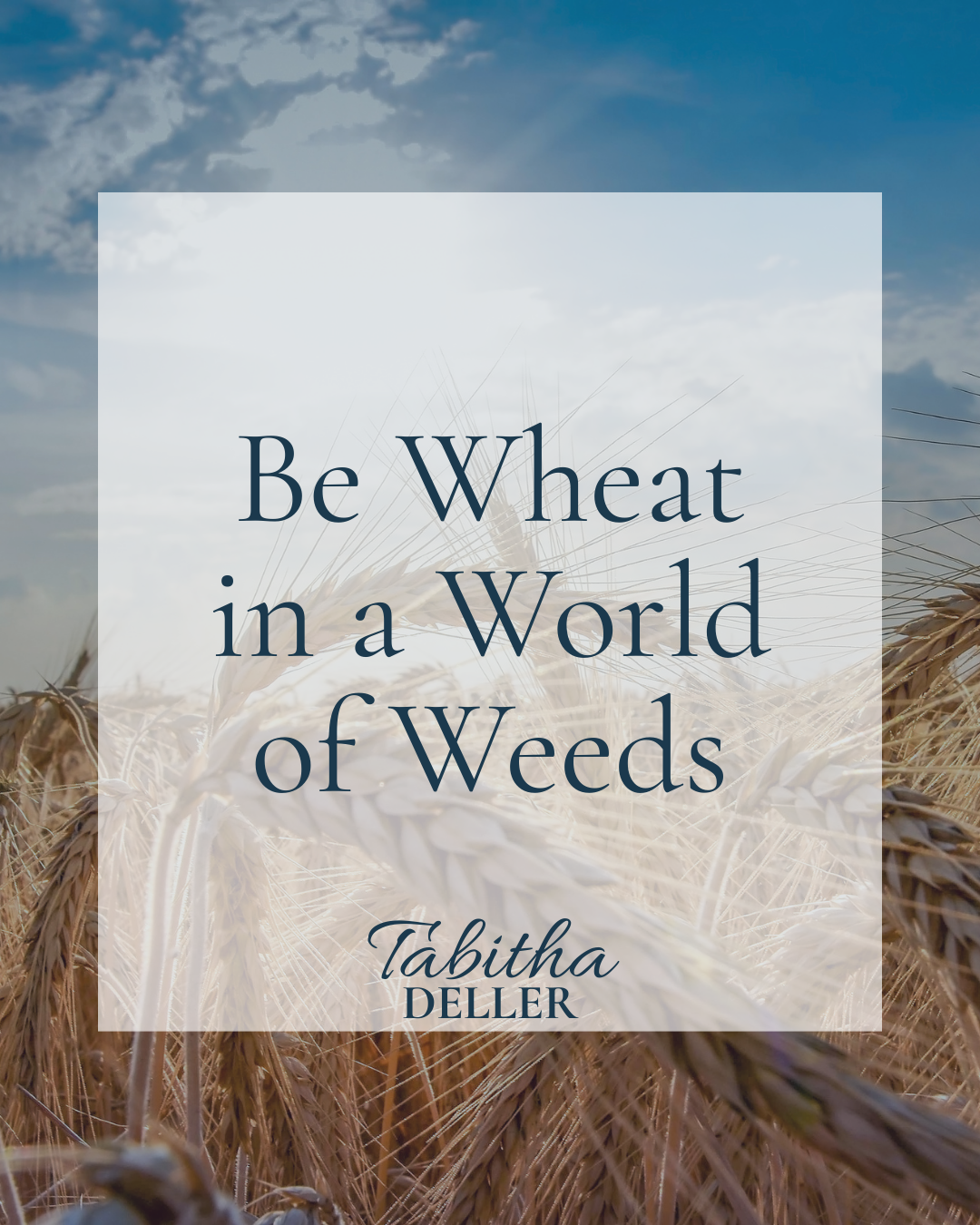Be Wheat in a World of Weeds