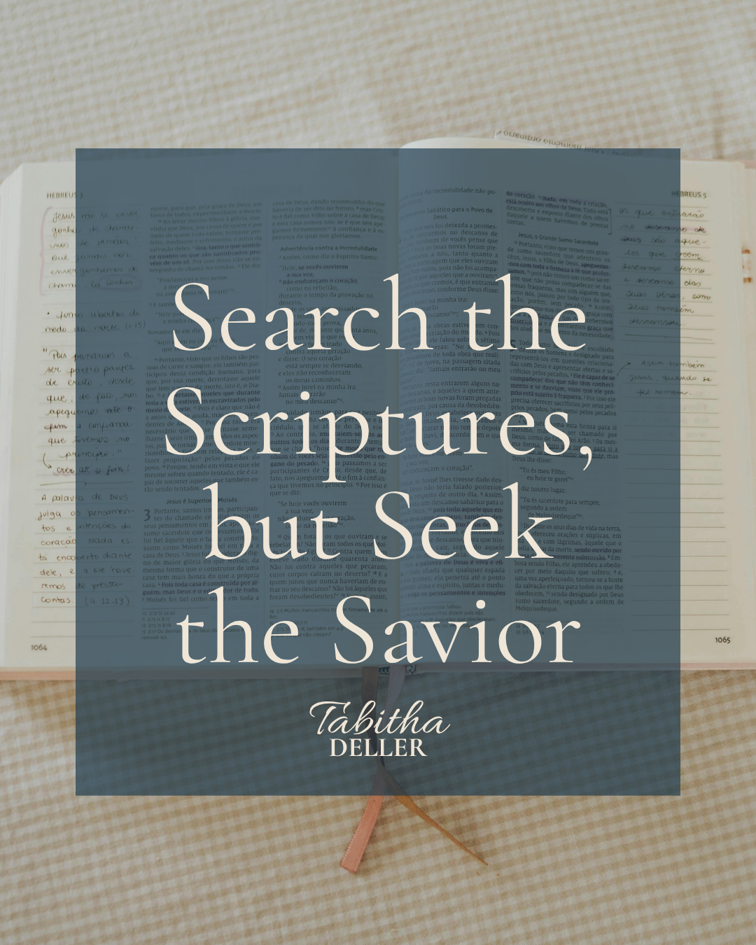 Search the Scriptures, but Seek the Savior