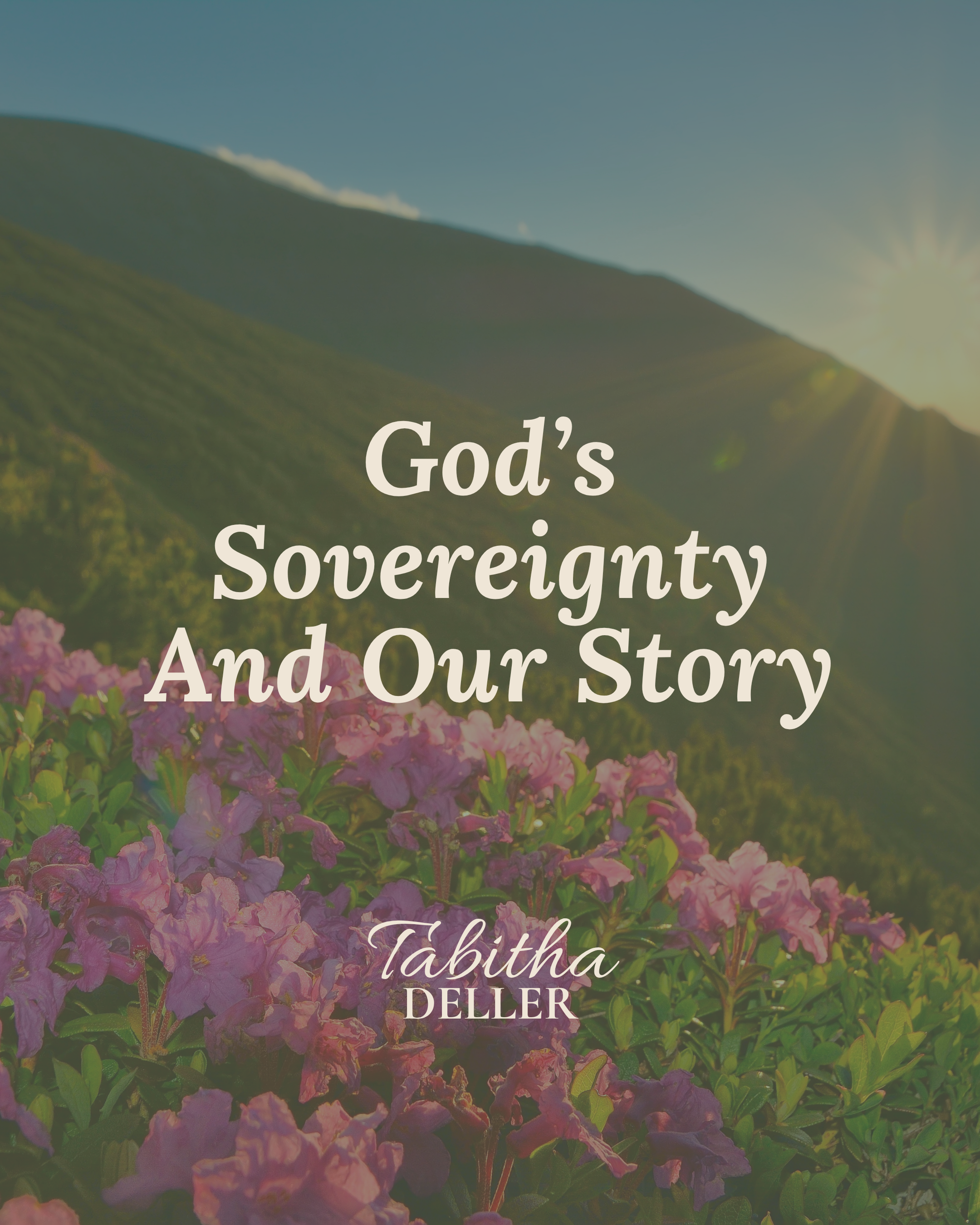 God’s Sovereignty and Our Story