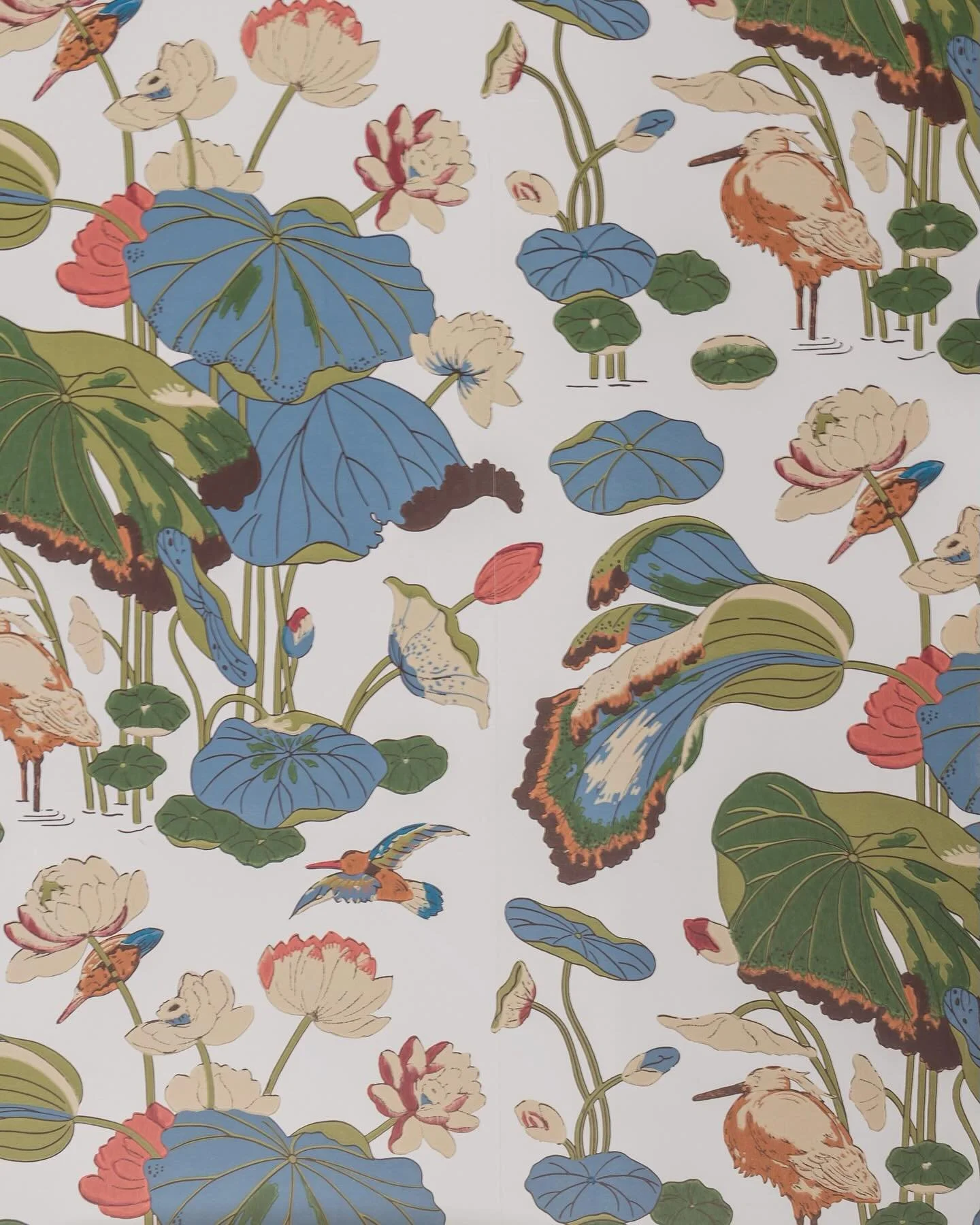 #WallpaperWednesday is here! 🪷 

Today we feature a stunning botanist-inspired wallpaper that brings the beauty of nature indoors. Used in a recent bathroom remodel, this print adds charm and a touch of personality to the space.