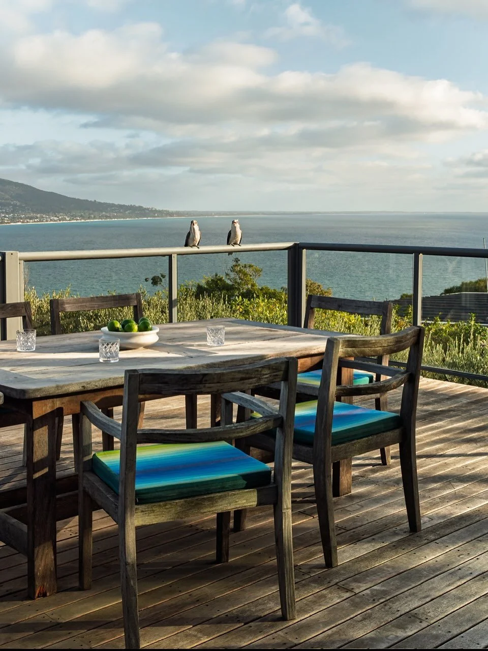 A visit from some kookaburras at our Mt Martha project. 
The view from this property never disappoints. You could watch the changing landscape all day and not get bored. It&rsquo;s magical. ✨

📸 @katehansenphotography 
Interiors @nicoletaylor_design