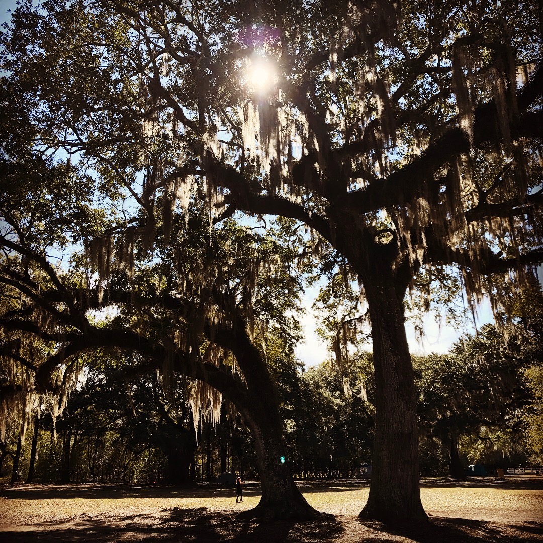 Louisiana7.jpg