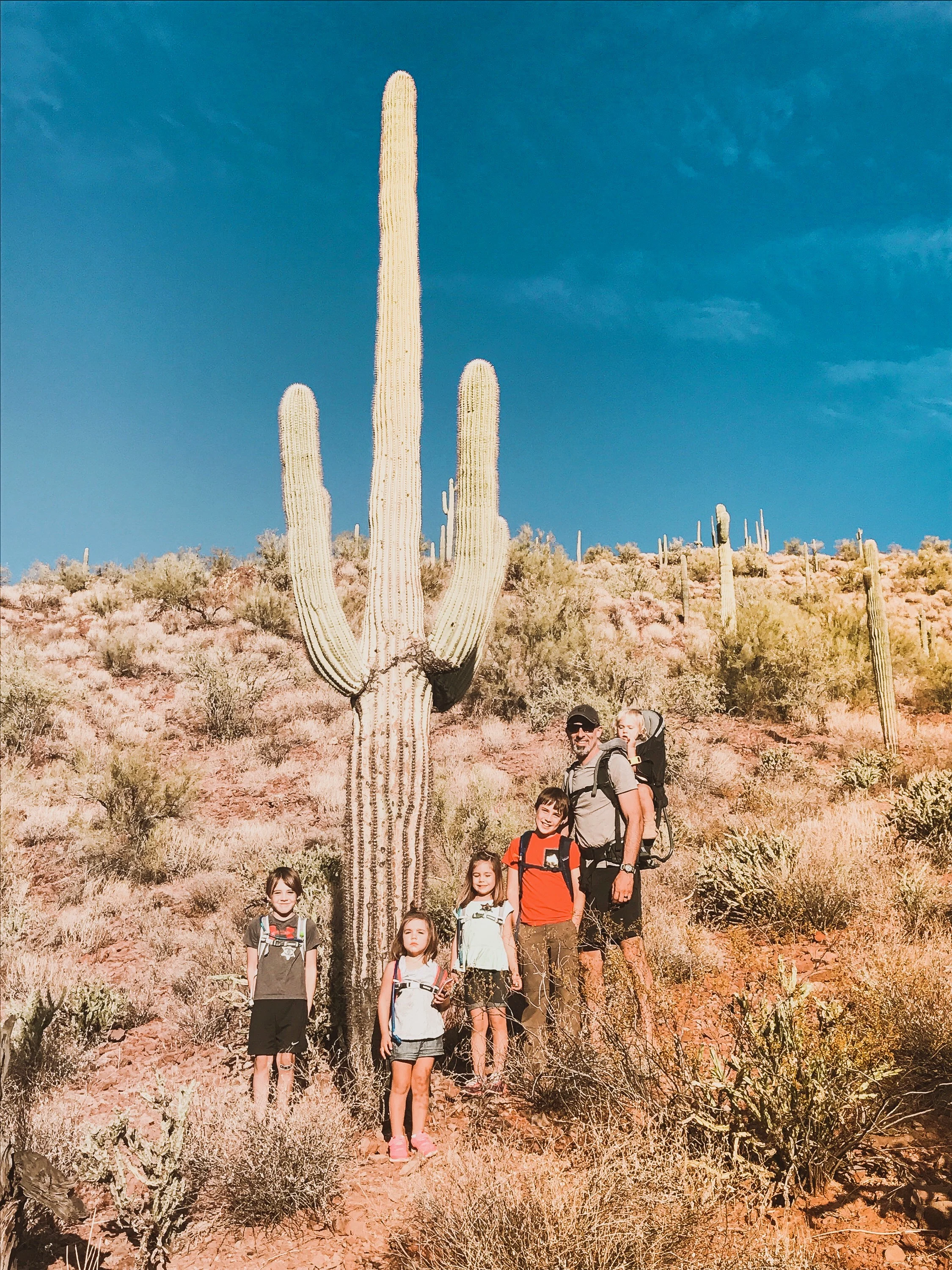 arizona3.jpg