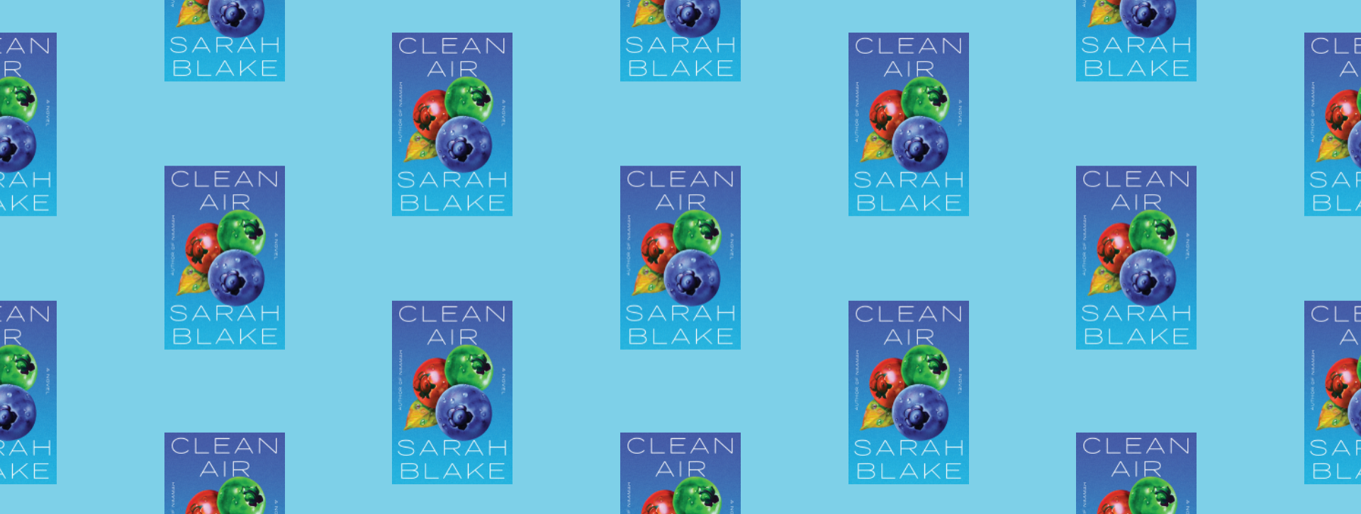 book-review-clean-air-by-sarah-blake-deedi-speaking