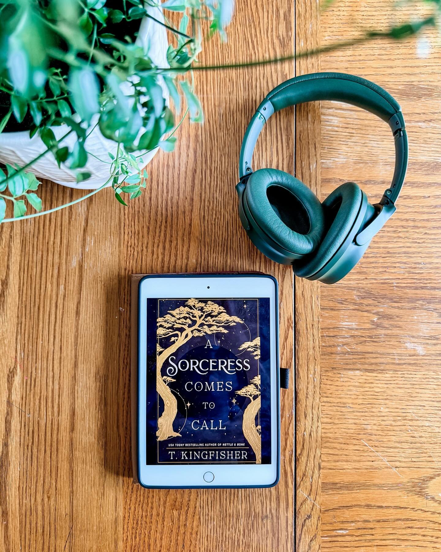 As of this writing, A Sorceress Comes to Call is nominated for the Hugo, Nebula, AND Locus Awards. The people love T. Kingfisher! And for good reason. I thought this book was an awesome standalone; I inhaled the whole thing on audio during one very l