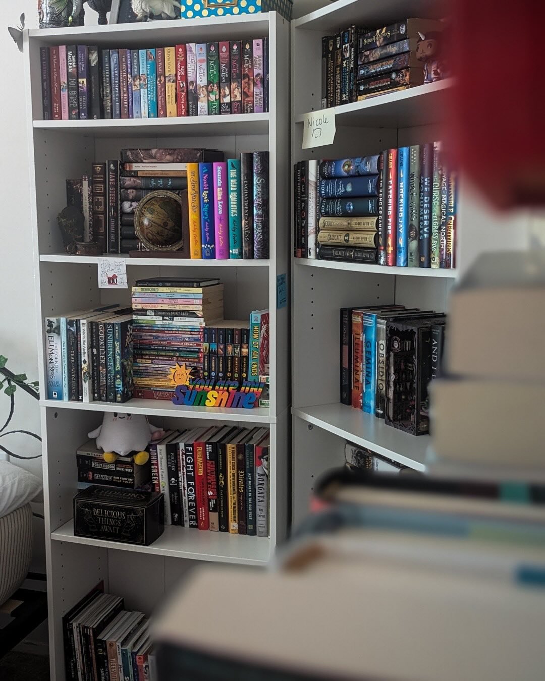 This month&rsquo;s Me, My Shelf, and I interview on Substack is with the incredible @nebrinkley, the manager of @oblongbooks and a writer and instigator of incredible literary activism.
⠀⠀⠀⠀⠀⠀⠀⠀⠀
Y&rsquo;all have GOT to read this one. There are so ma