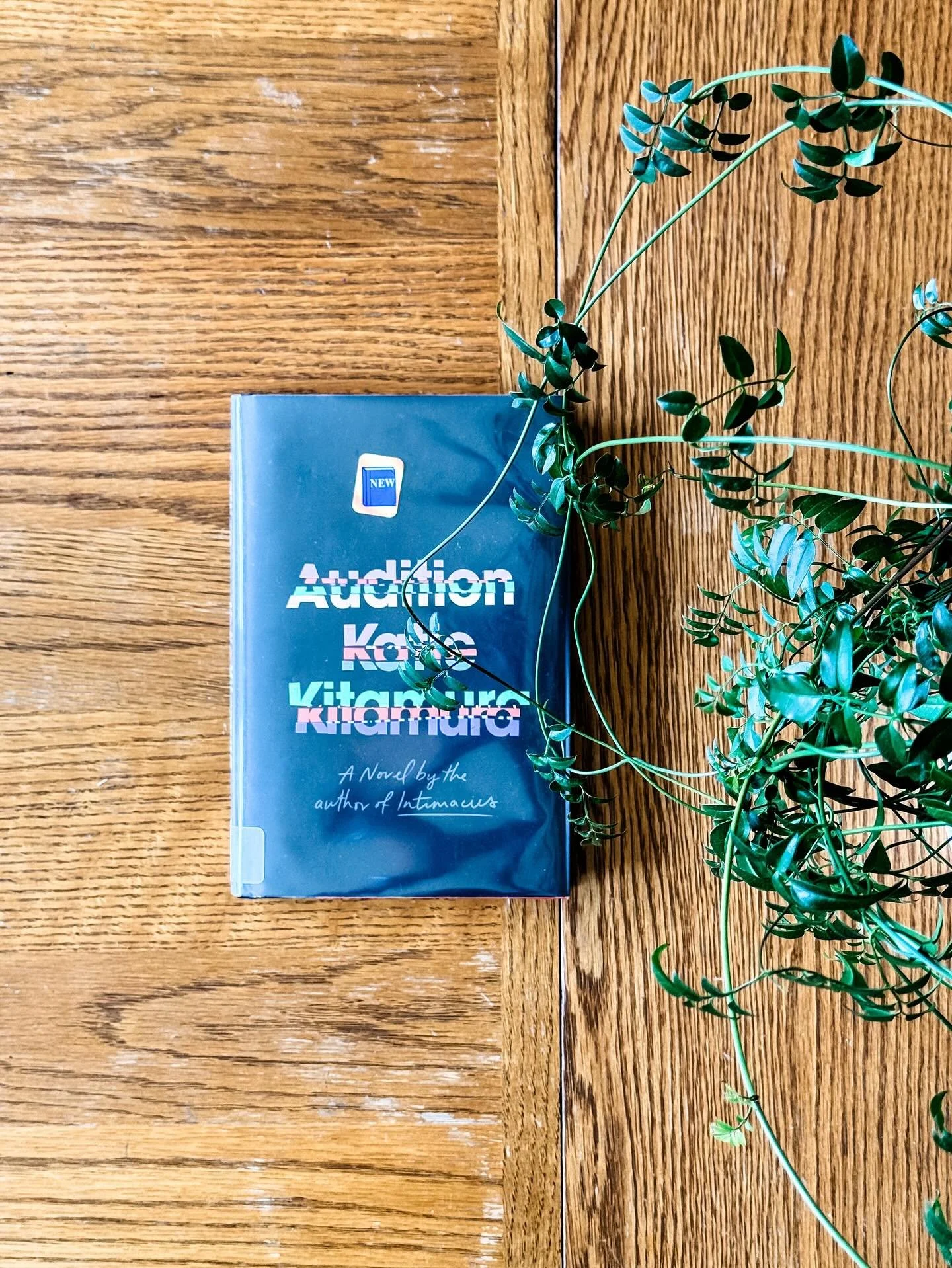 Okay, let me get this out of the way: Katie Kitamura is a significant talent. She can really, really do the whole novel thing. Her books, including this one, are smart and razor-sharp and provoke more questions than even an hour-long book club meetin