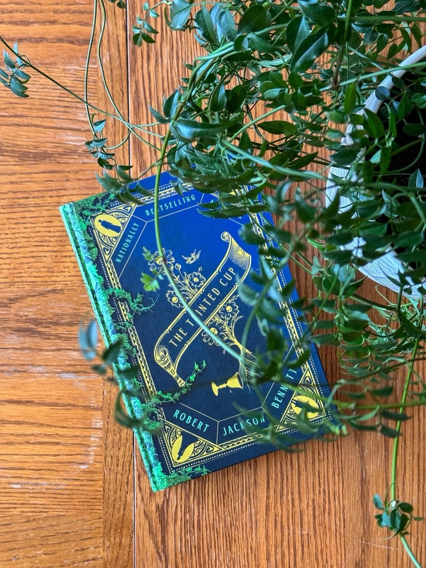It took me way too long to read The Tainted Cup (ty @delreybooks!), because y&rsquo;all, this was SO much fun and just so well done. But don&rsquo;t take it from me; this past weekend, it won the Hugo Award!
⠀⠀⠀⠀⠀⠀⠀⠀⠀
This book is a Holmes and Watson