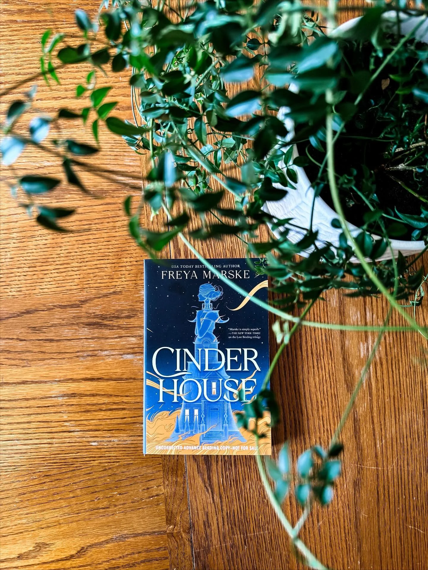 What if Cinderella was a queer ghost and also...a house?
⠀⠀⠀⠀⠀⠀⠀⠀⠀
Oh, how I loved this wickedly smart, gothic reimagining of Cinderella (ty @tordotcompub)! In which Ella *IS* the house (or, rather, the house&rsquo;s ghost), her stepmother is her mur