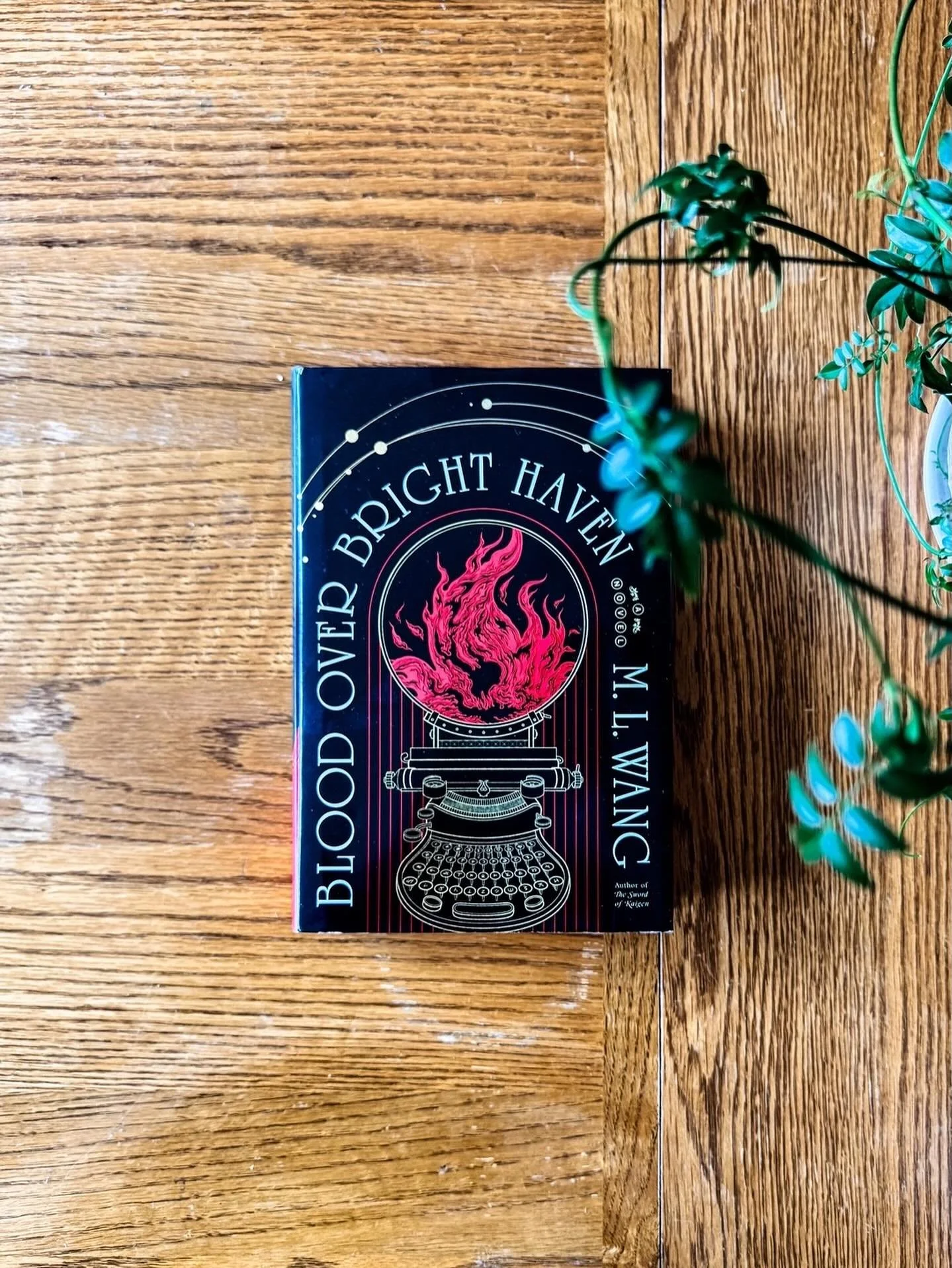 I almost &mdash; almost &mdash; let this one slip through the cracks of my TBR. Reader, that would have been a grave mistake. What an incredible firecracker of a standalone fantasy novel!!
⠀⠀⠀⠀⠀⠀⠀⠀⠀
Blood Over Bright Haven (ty @delreybooks!) is about