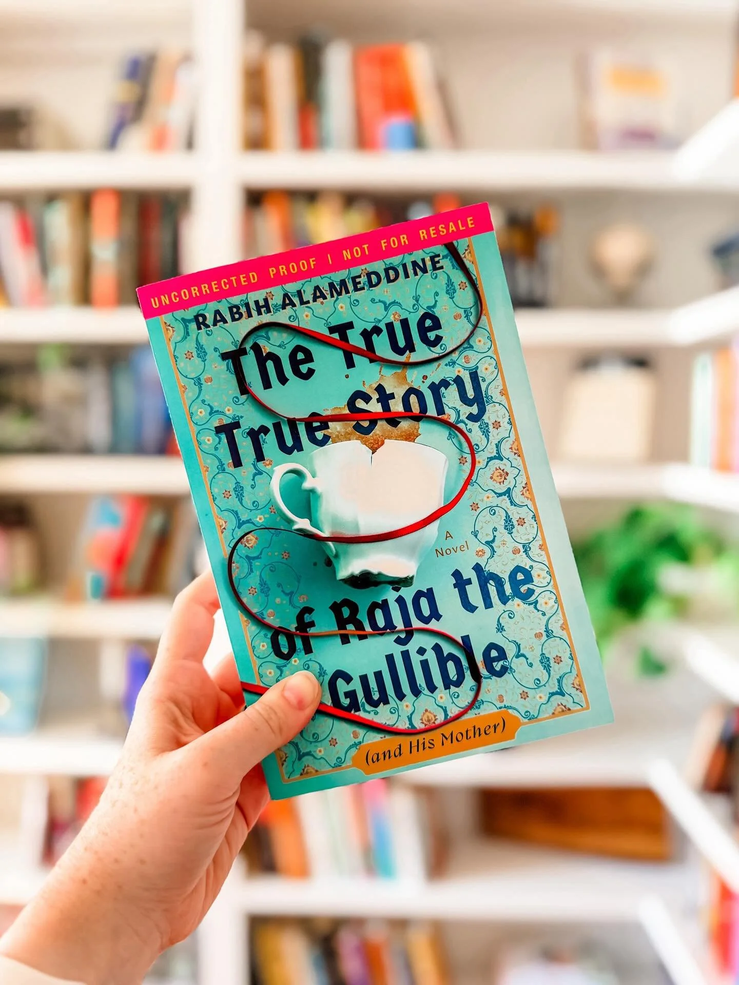 Thank goodness the @nationalbookfoundation Award bumped this to the top of my TBR &mdash; because what a fantastic book about a gay Lebanese man and his ferocious mother and all the ways our families and our culture and our love for one another susta