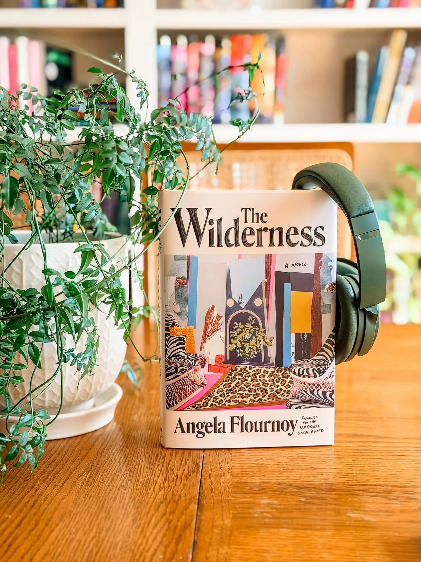 There have been a lot of novels about friendship lately, and I feel like we keep reading all of them hoping they&rsquo;ll have the exact spark that The Wilderness has (ty @marinerbooks!). I&rsquo;m so grateful to the National Book Award for making su