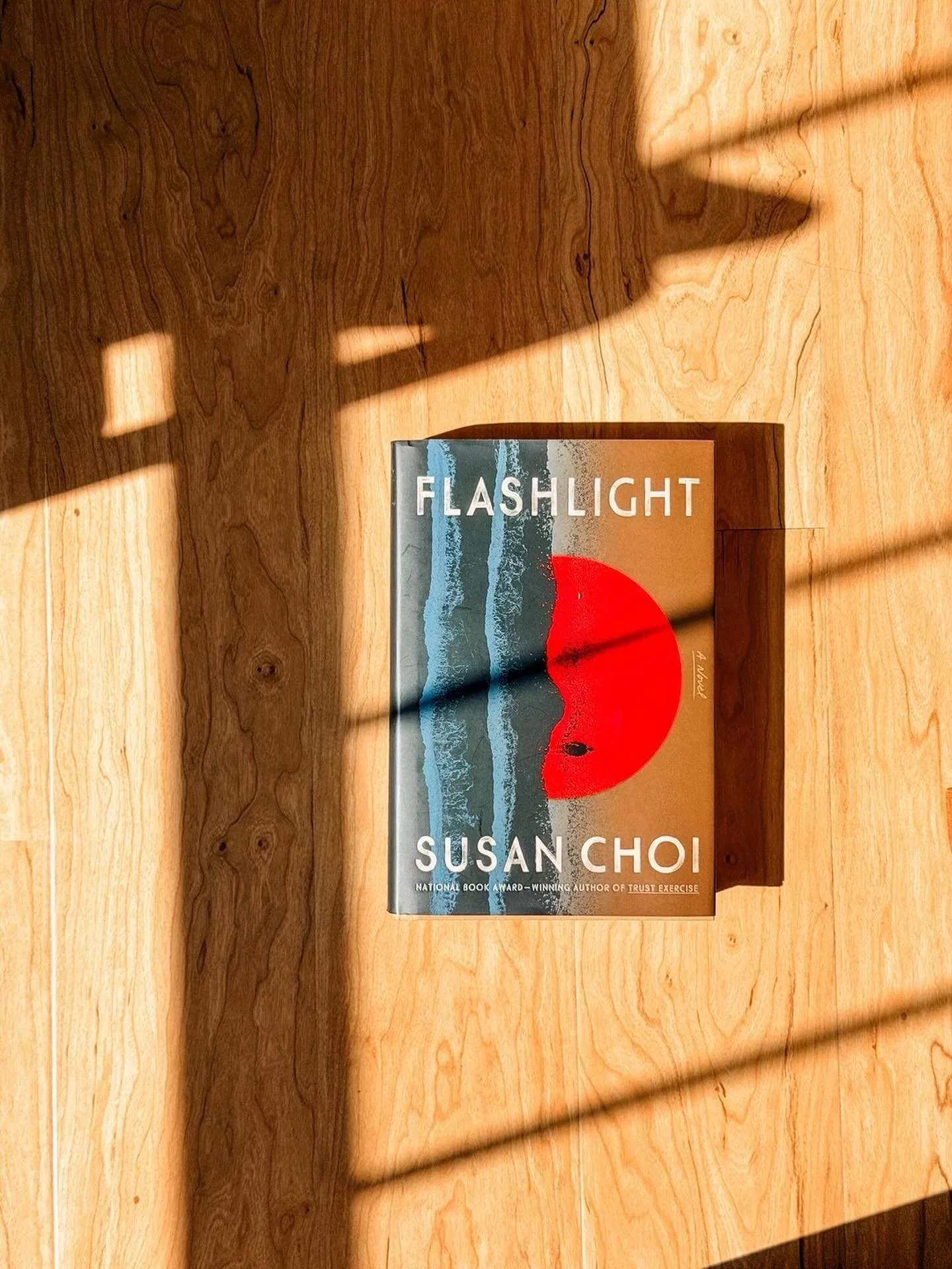 As of this writing, Flashlight (ty @fsgbooks!) is currently shortlisted for the Booker Prize and was longlisted for the National Book Award. Clearly, it&rsquo;s an impressive piece of literature. I was really looking forward to reading it after falli