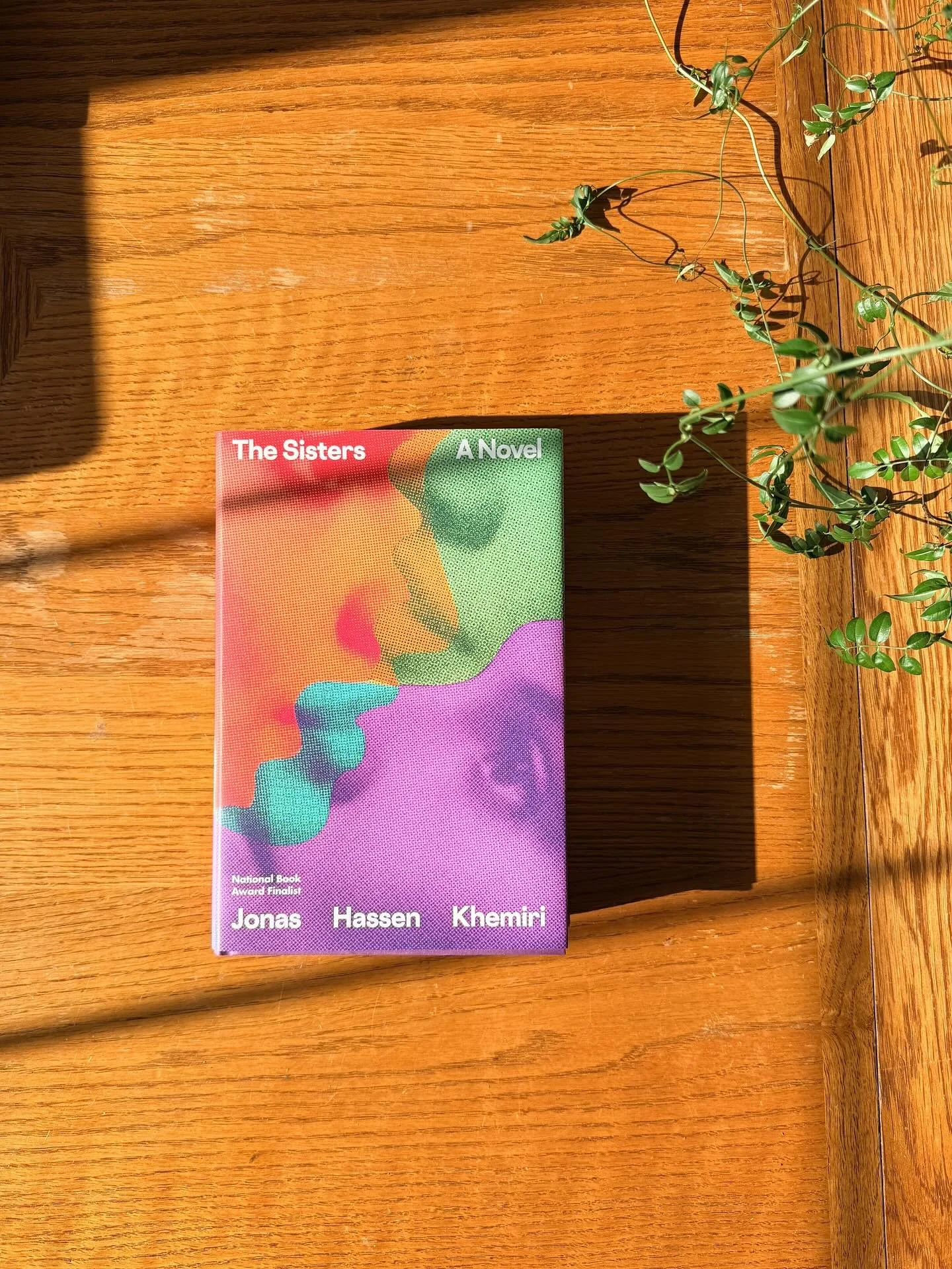 The Sisters was a bit of a darkhorse inclusion on the National Book Award longlist (at least in my circles), but I&rsquo;m very glad it landed on my radar &mdash; I had a great time with this epically scoped, multilayered, wholly engrossing novel abo