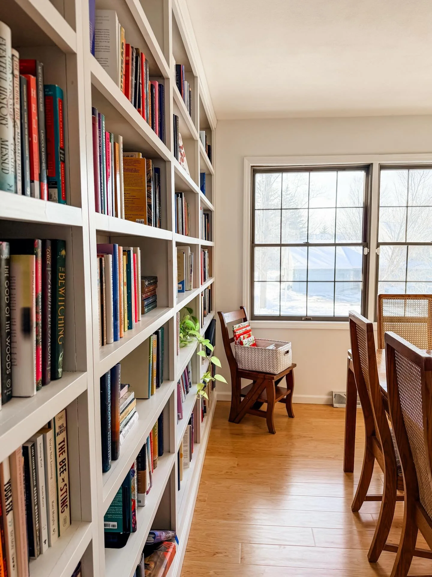Proof of life on the grid with some shelfies in this bright, gorgeous winter light ❄️☀️

Everyone in my house has been at least slightly sick for the last week or so. I haven&rsquo;t read a TON (except the first section of Midnight&rsquo;s Children f