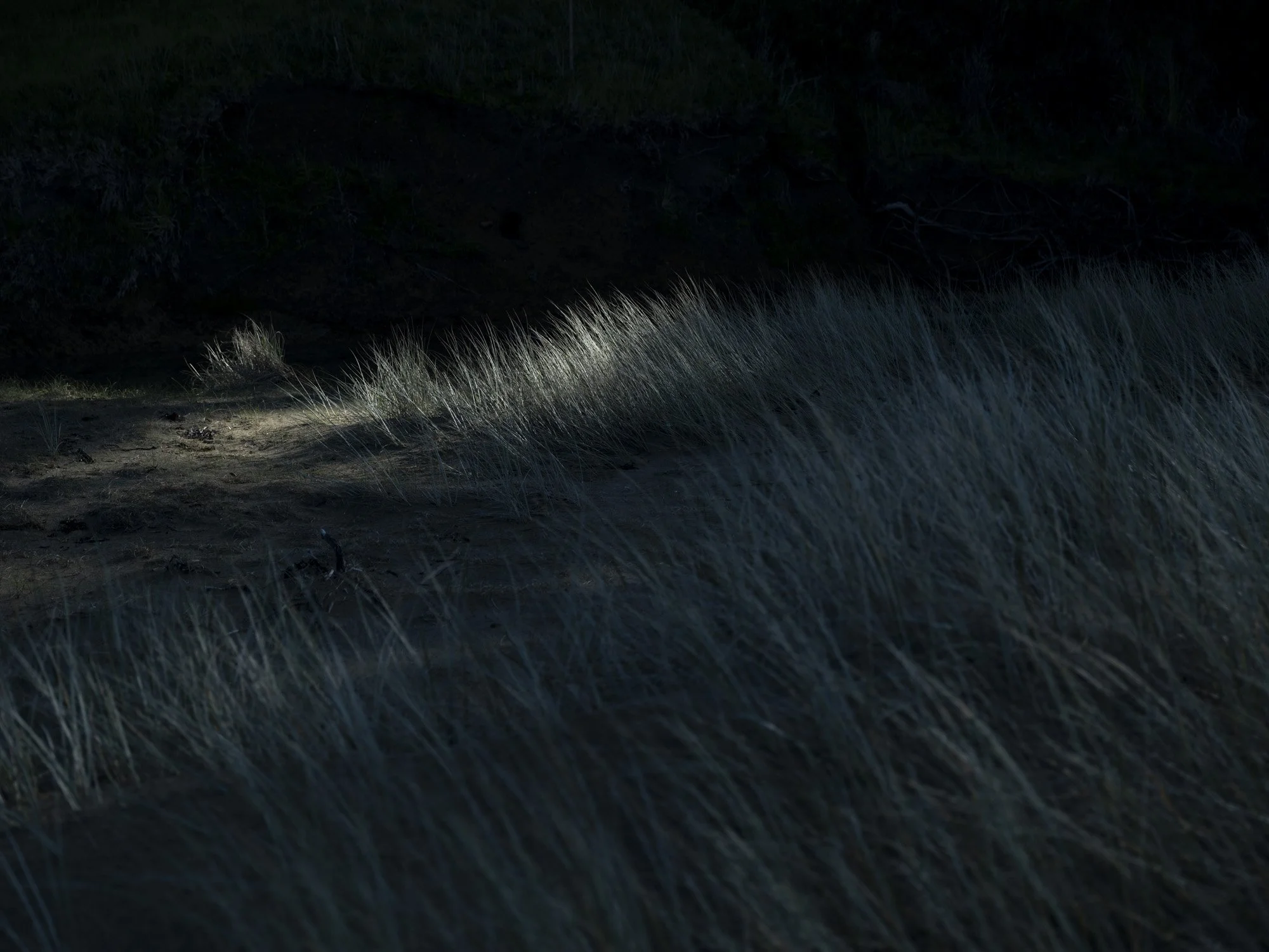 _HDR8090_1.jpg