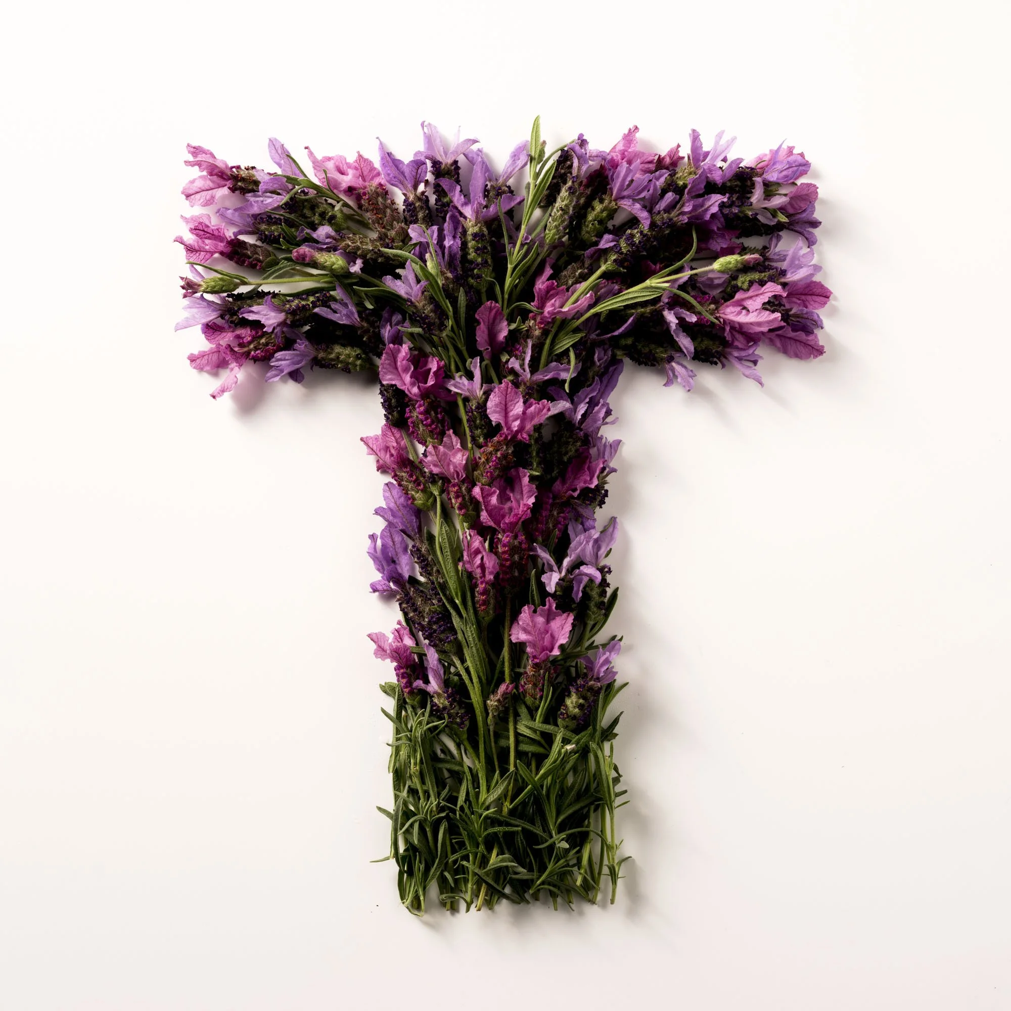 WW_Spring-102.jpg