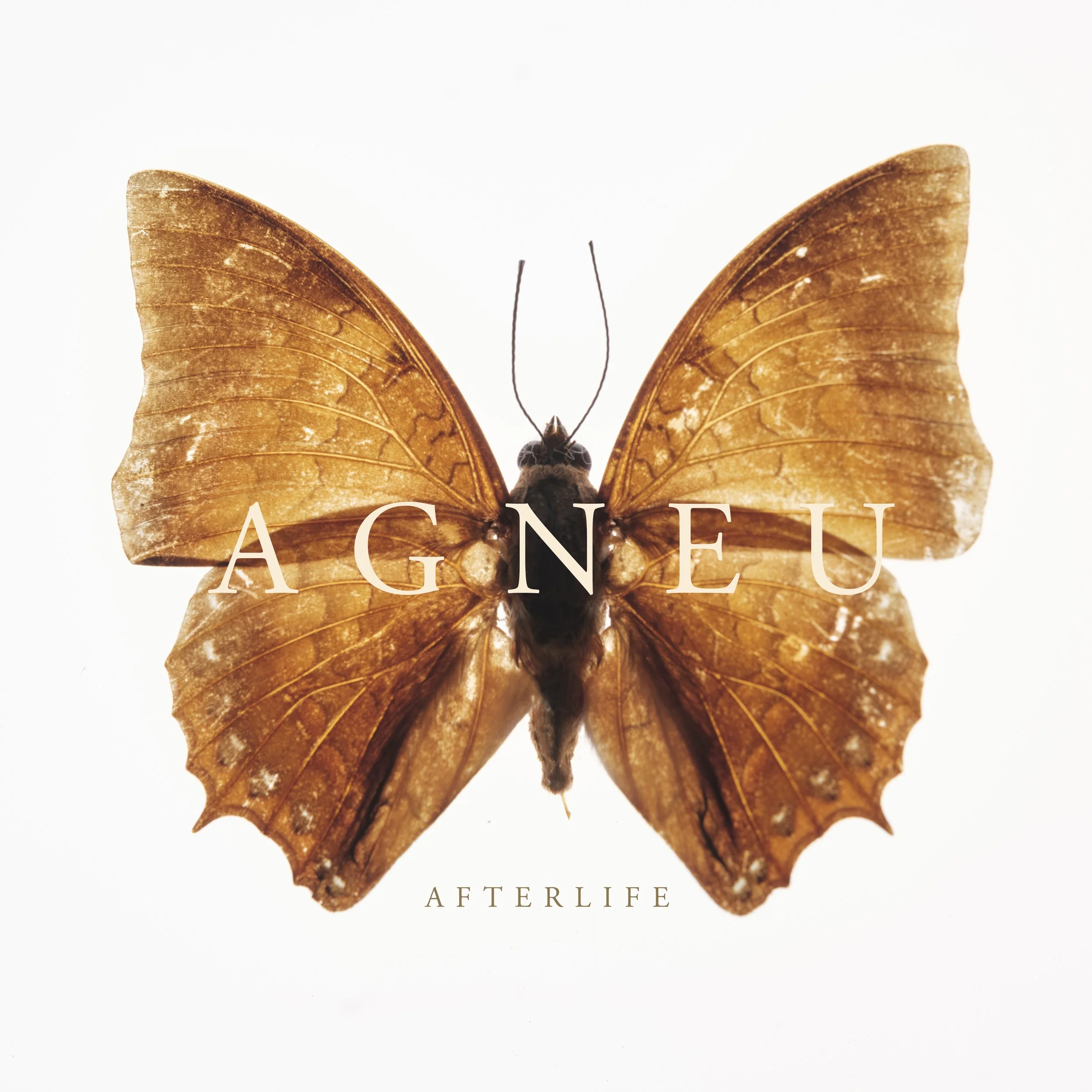 Agneu_Cover_Art copy.jpg