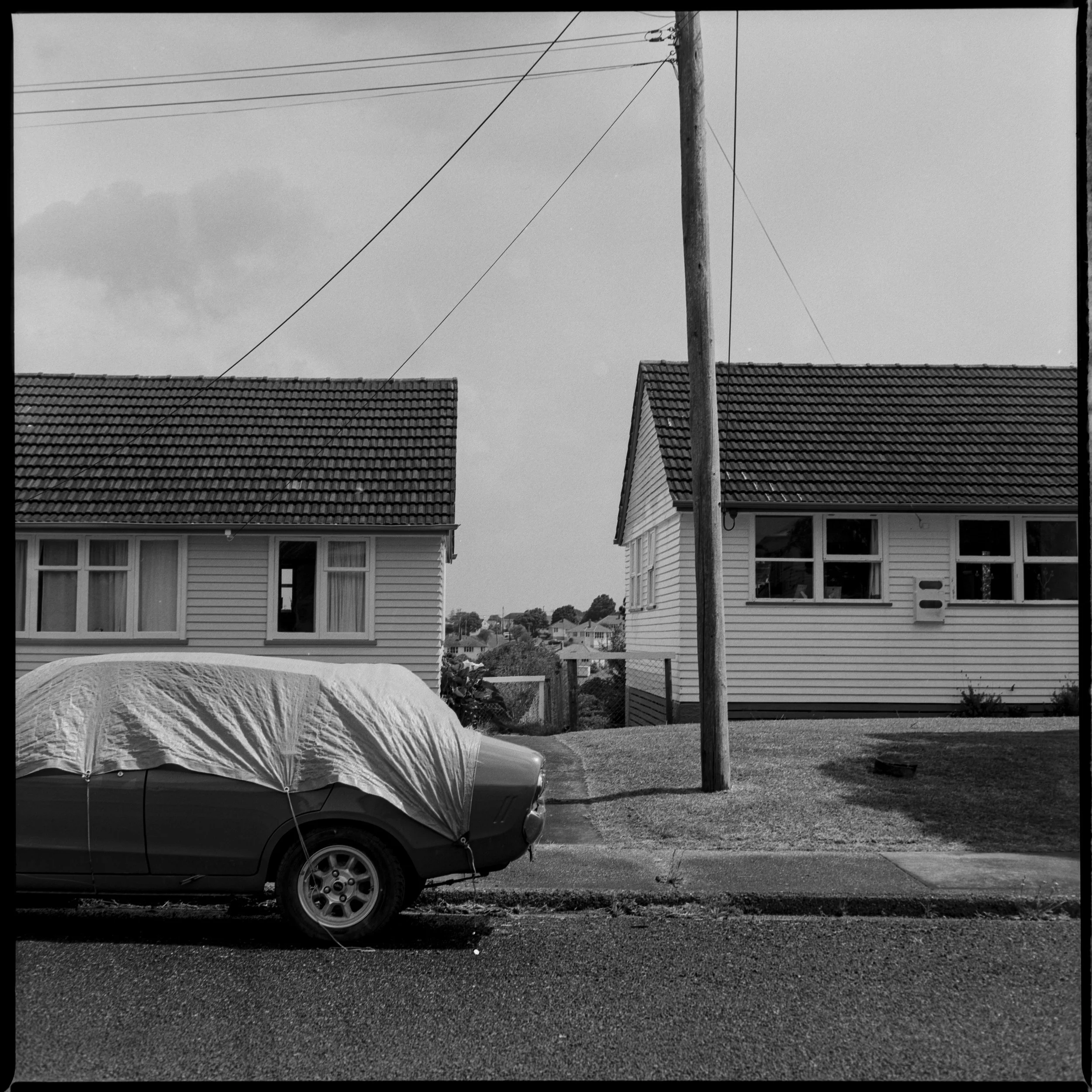 _50S6244.jpg