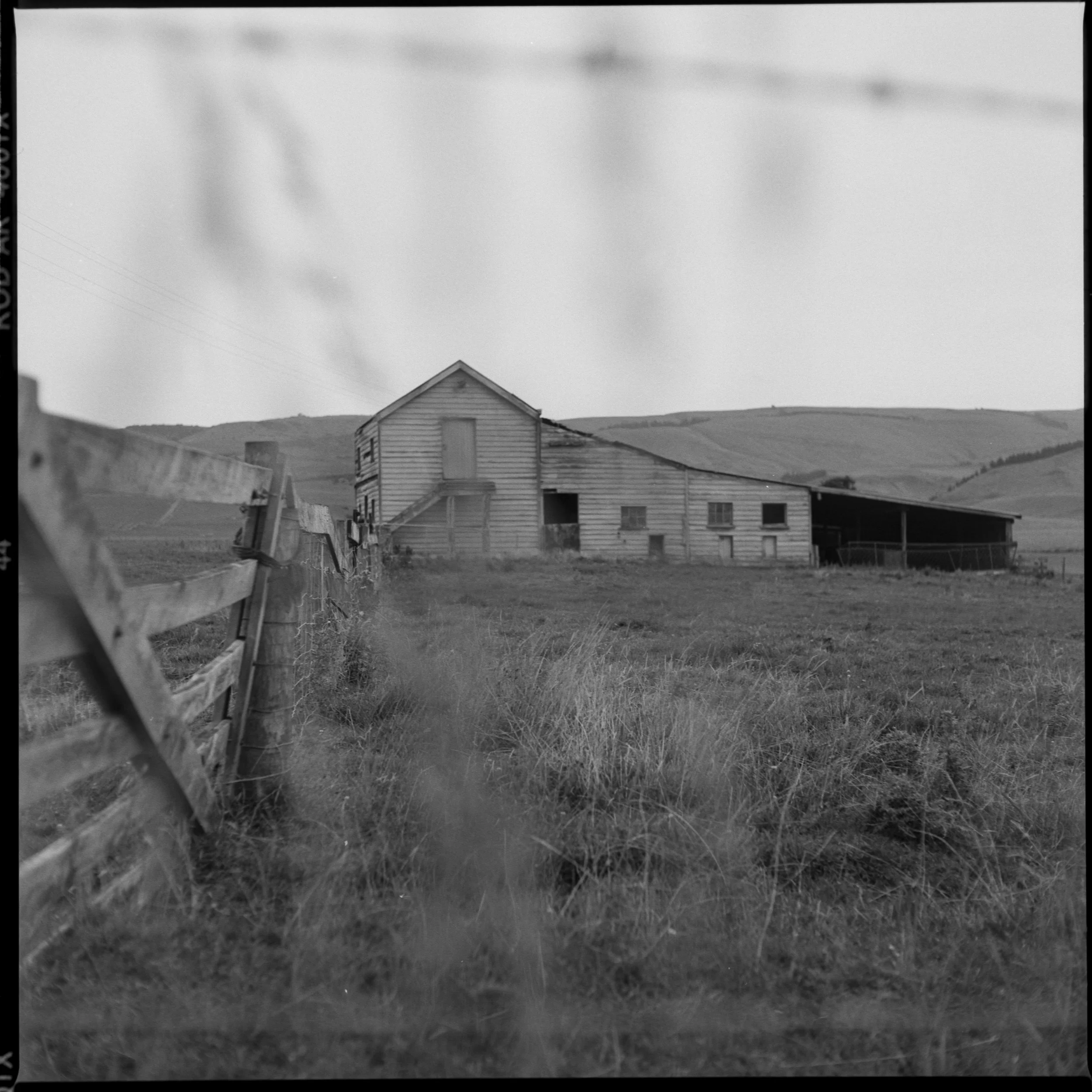 _50S6246.jpg