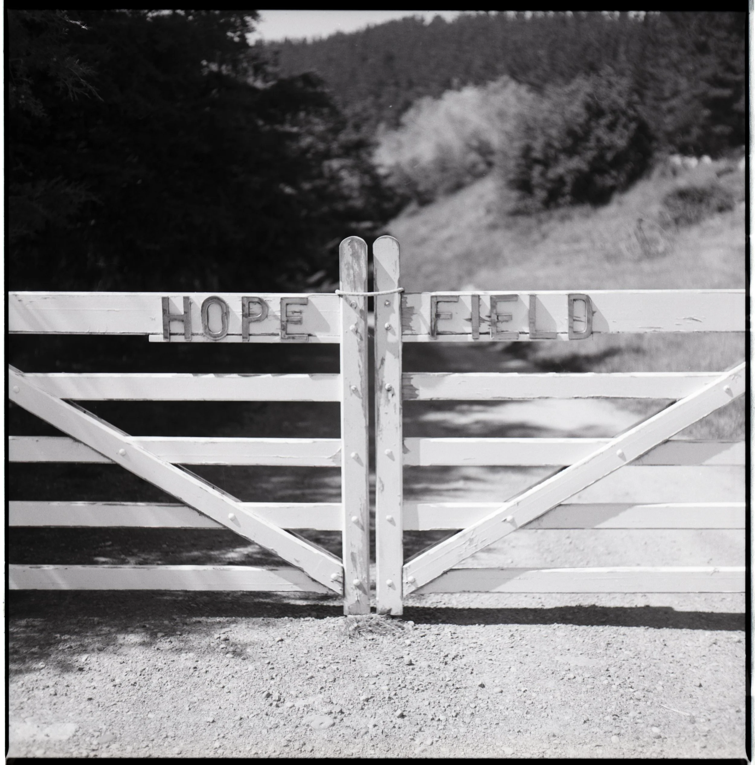 Hope Field Nth Canterbury.jpg