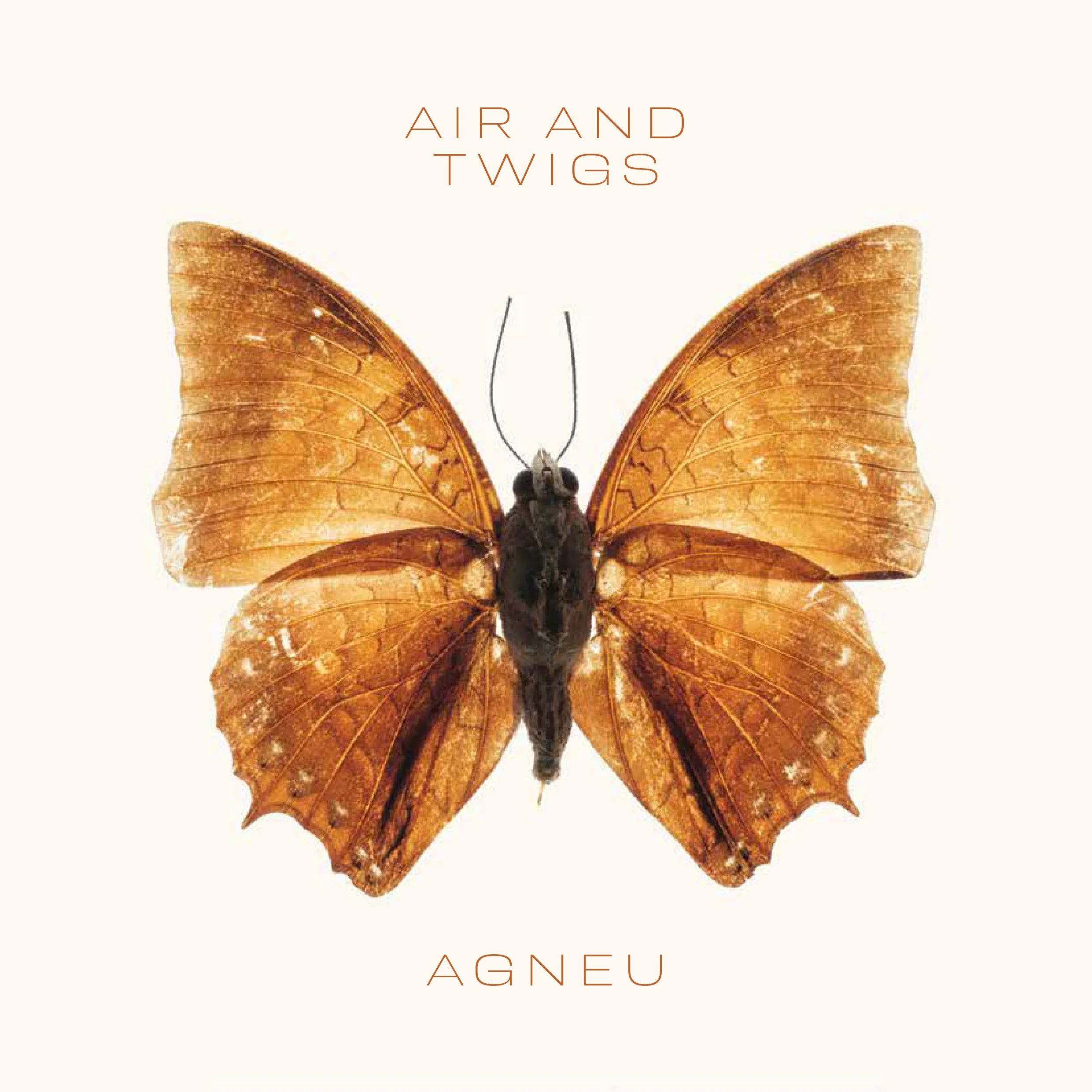 Agneu_songbook_LR-spreads-1.jpg