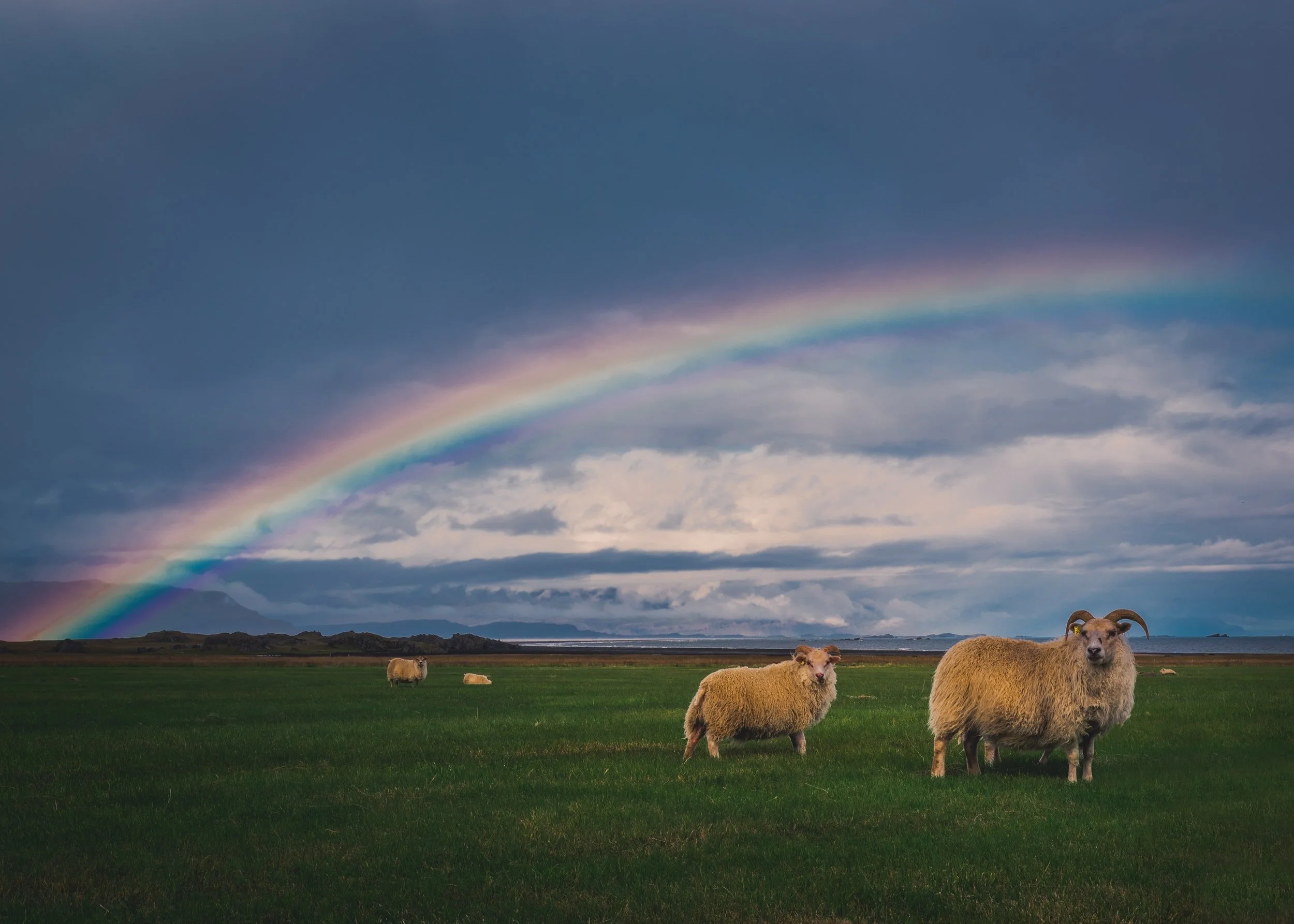 Ezekiel 34: God is Against the Shepherds Who Scatter His Sheep