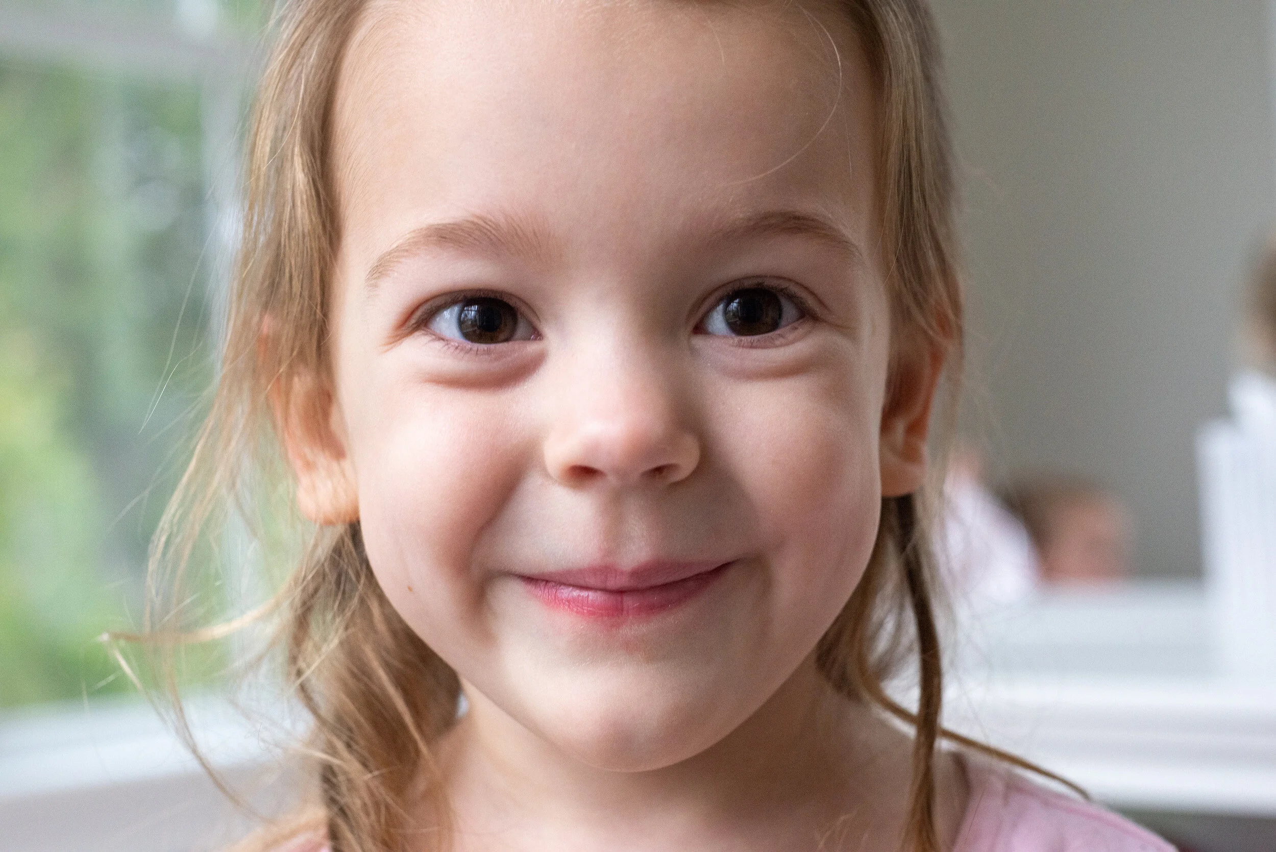 Sipprelle112719_101.JPG