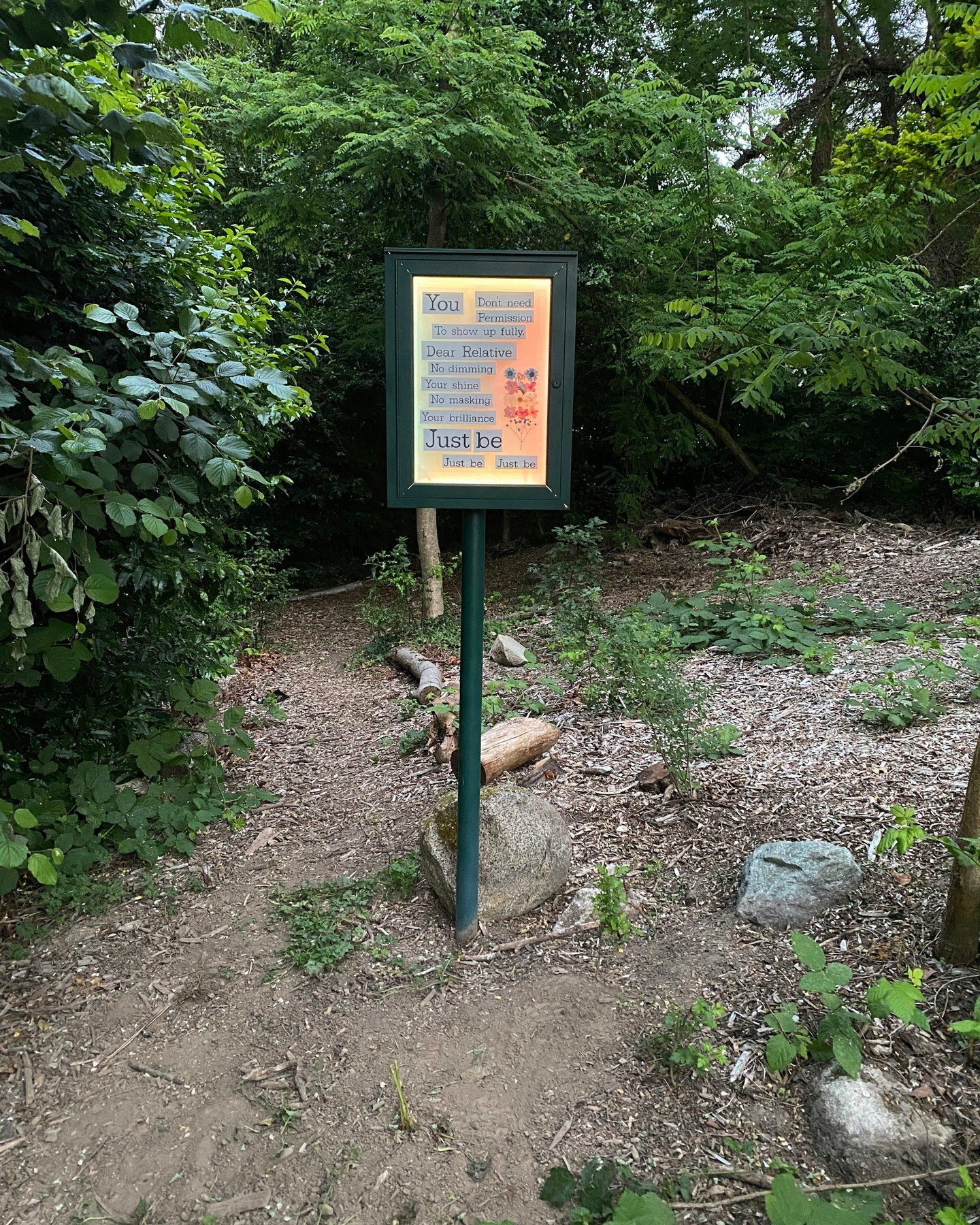 We&rsquo;ve launched our Forest Gallery (name suggestions welcome in comments!), a small green kiosk installed over an old no-dumping sign along the creek side of our South Seattle land. This space is about reusing and repurposing what was already on