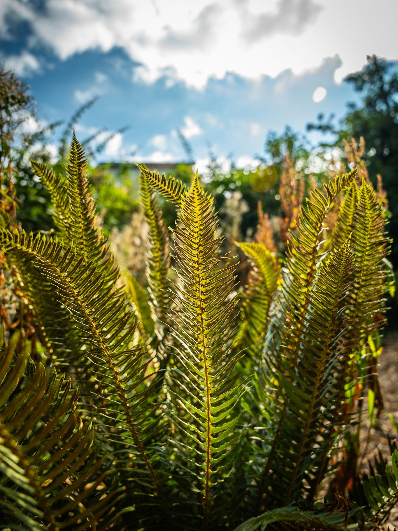 It's time for our winter break! We have had such an incredible year of growth, community building, and new projects, and it is time for our team to take a break to recover and recharge. 

We are taking the month of December off, but don't worry! We w