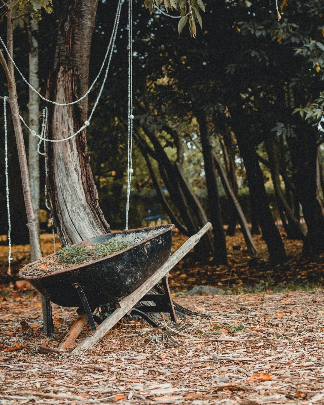 We are back! Did you miss us? Here is what our first quarter looks like!

During the month of January, we are still dusting off the cobwebs and waking back up now that we get more light each day.

In February, we will begin our planning for this year