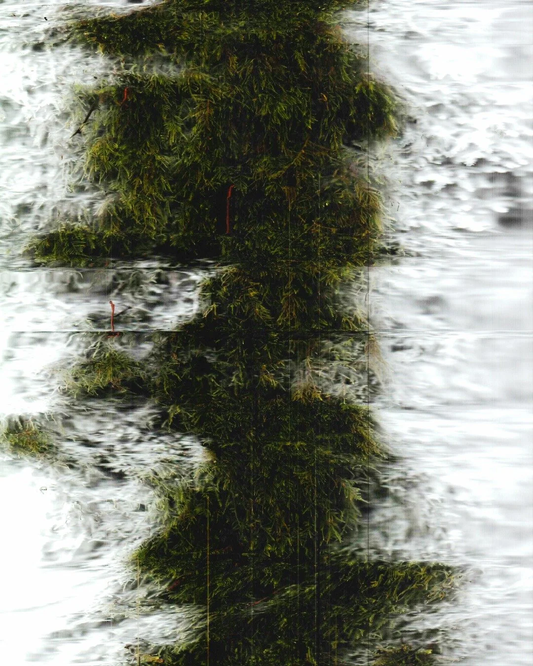 As spring creeps closer, we are spending more and more time out of the office and on the land&mdash;exploring, dreaming, and checking up on all the plants and animals, both new and old. 

Each season brings new surprises on the land, as we remove inv