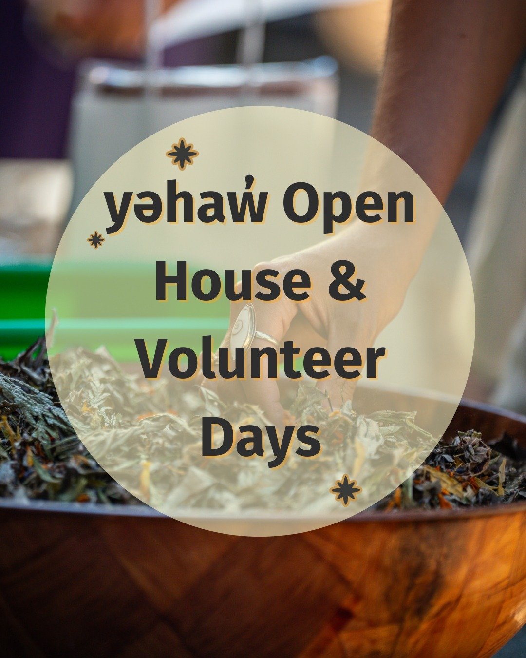 We are SOOOOOO back!

Did you miss us? Well, the time has come for us to see eachother again! Our open house and volunteer days are BACK starting March 6th!!!!

Join us every Friday from 10 AM to 2 PM at 9674 51st Ave S! All ages and abilities welcom
