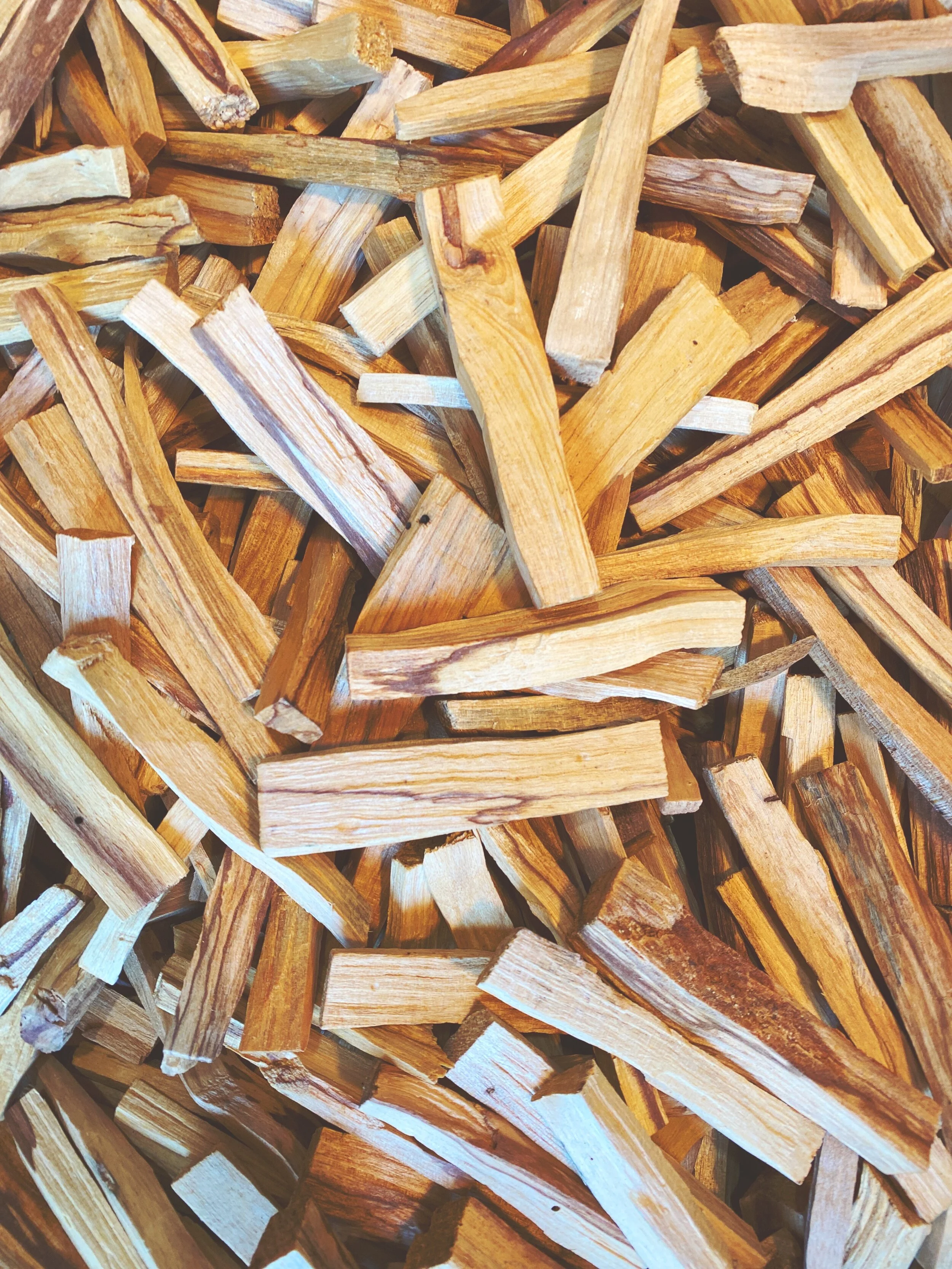 E42501D8-2854-4B09-A15F-40844E95AC3D