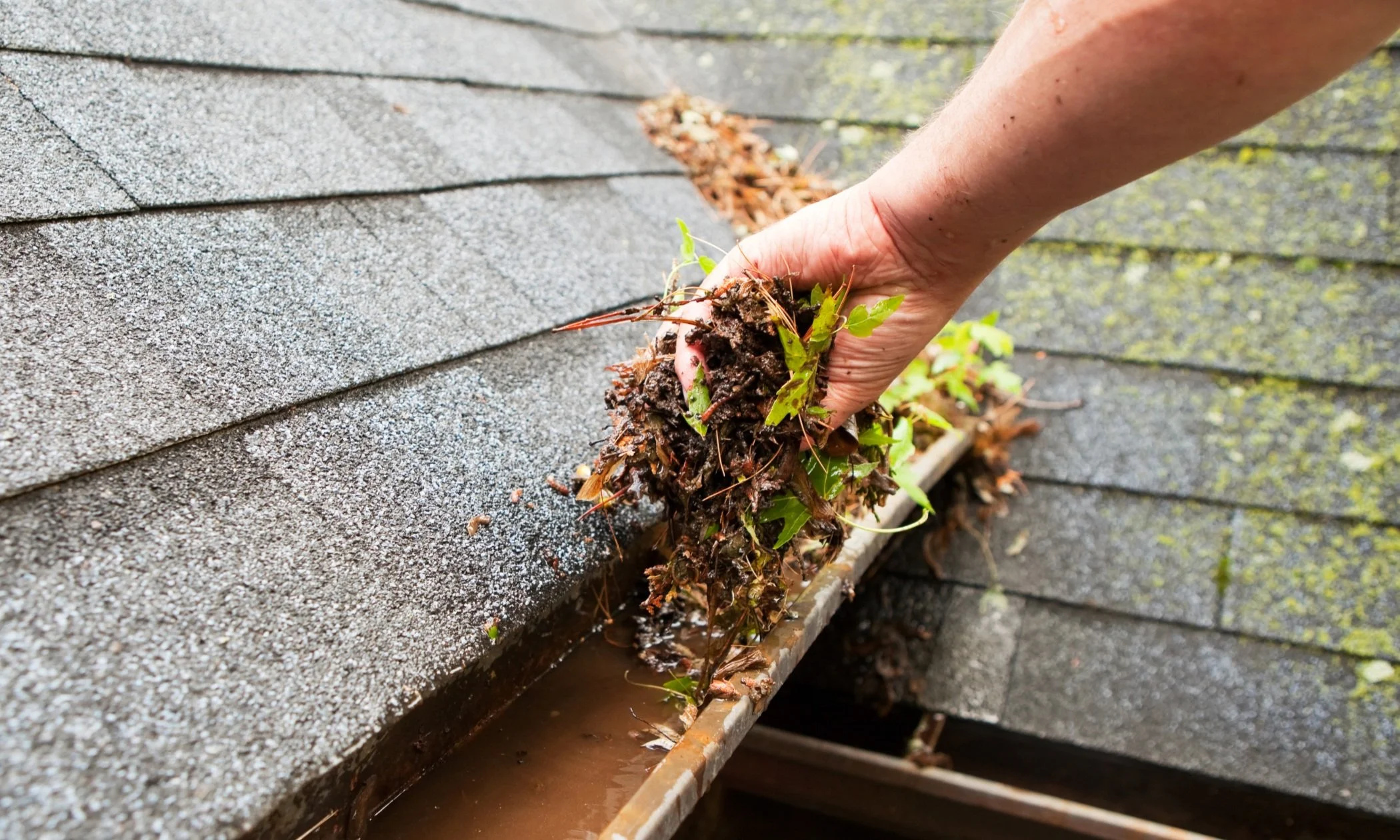 7 Signs Your Gutters Need Spring Cleaning