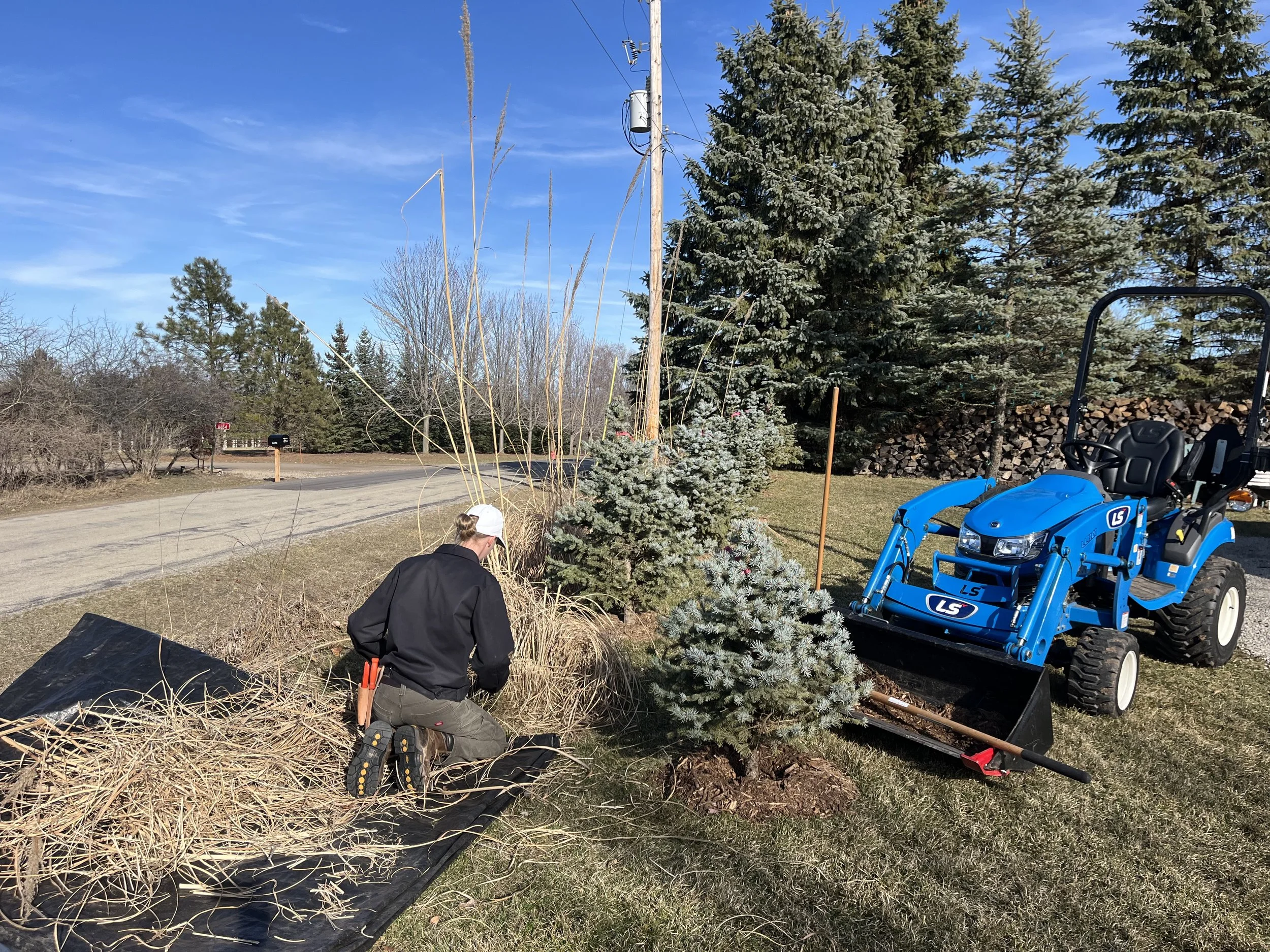Girl clearing, trimming, and pruning overgrown bushes