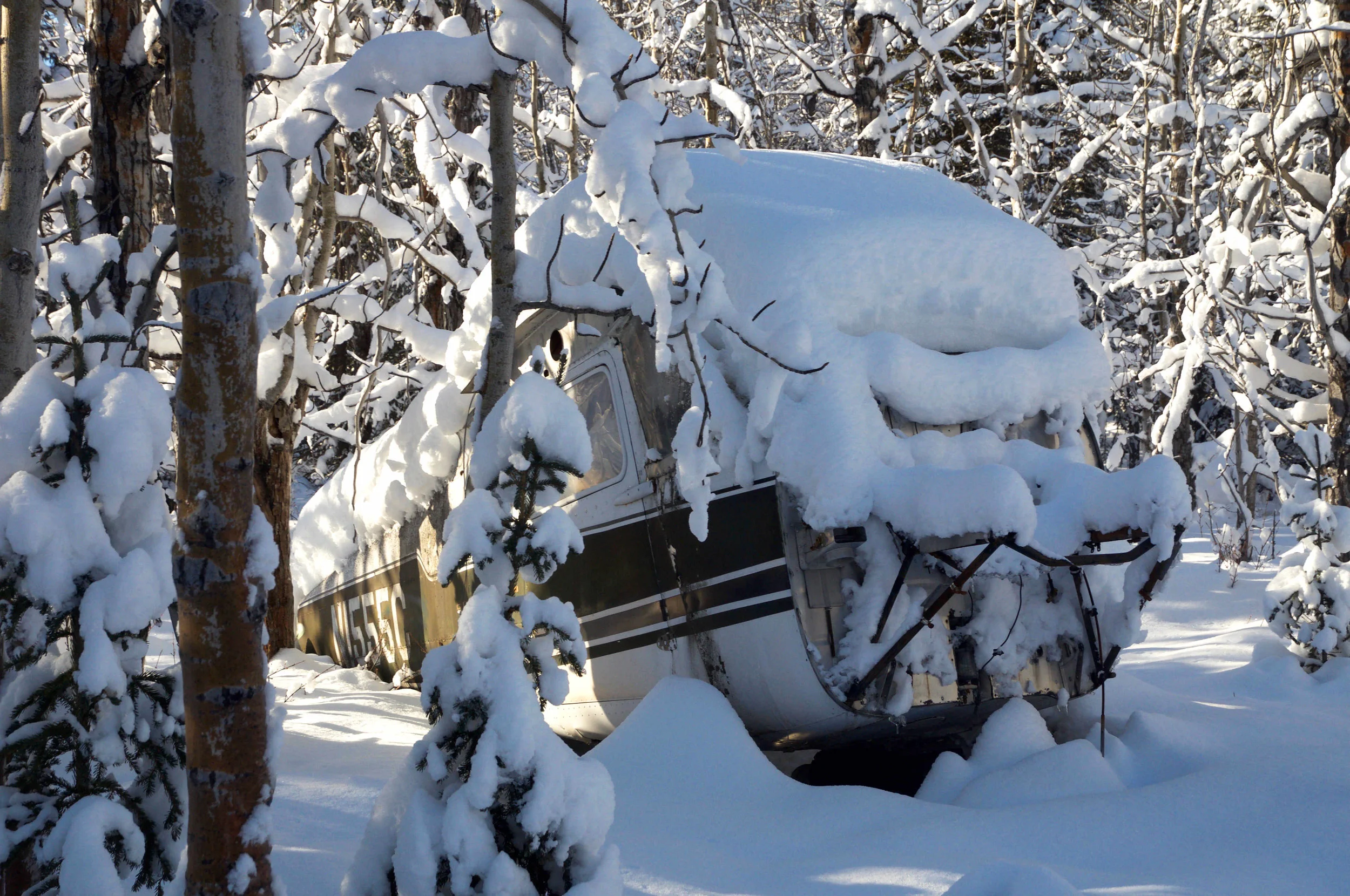 A broken-down bush plane on Gary Green's property