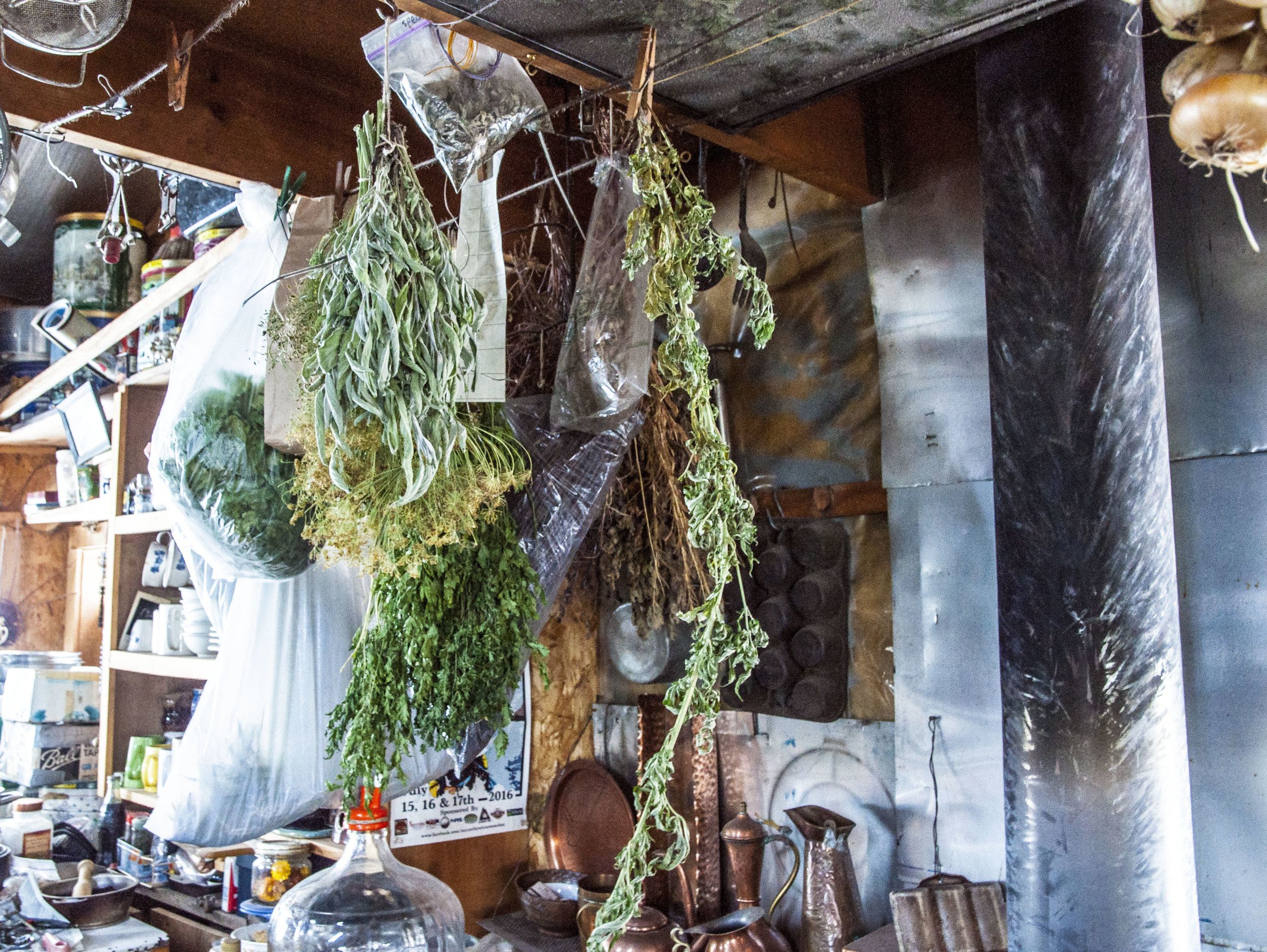 "Slowly I realized that when I ate from the land, when I ate from the garden that I grew and I picked berries and fished and hunted from stuff that came directly out of my environment, that I was part of the environment where I lived." -Mark Vail