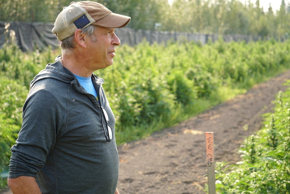 Mike Emers stands in a field of marijuana at his farm outside Fairbanks, Alaska. He transitioned from growing vegetables to growing pot following legalization in the state. (Erin McKinstry / July 2019)