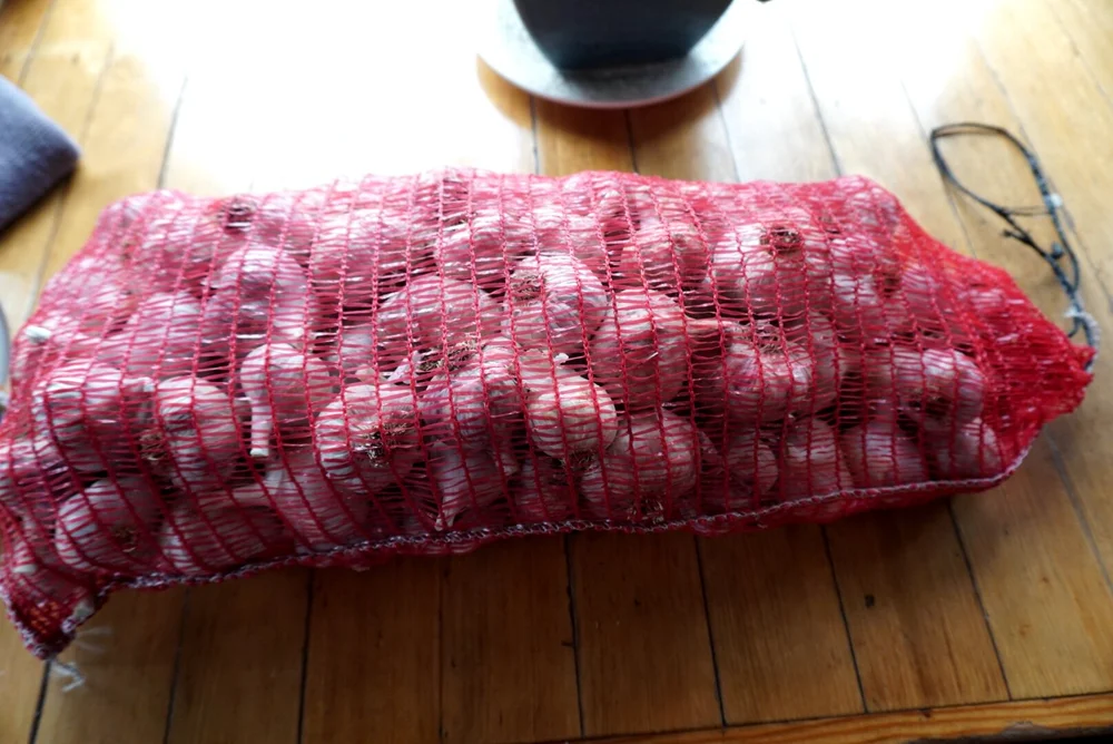 Some of Tenley Nelson’s garlic harvest for the summer of 2019. (Erin McKinstry / September 2019)