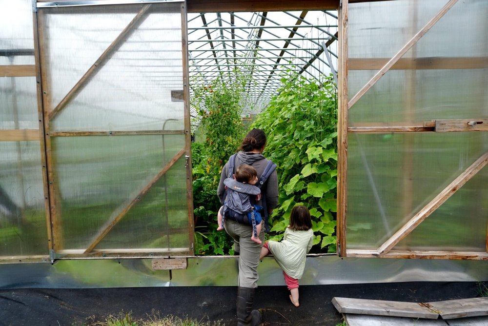 Sally Boisvert and her two young children enter one of several high tunnels on her farm outside of Haines, Alaska. During the summer months, Boisvert runs the farm alone while her husband fishes. (Erin McKinstry / August 2019)