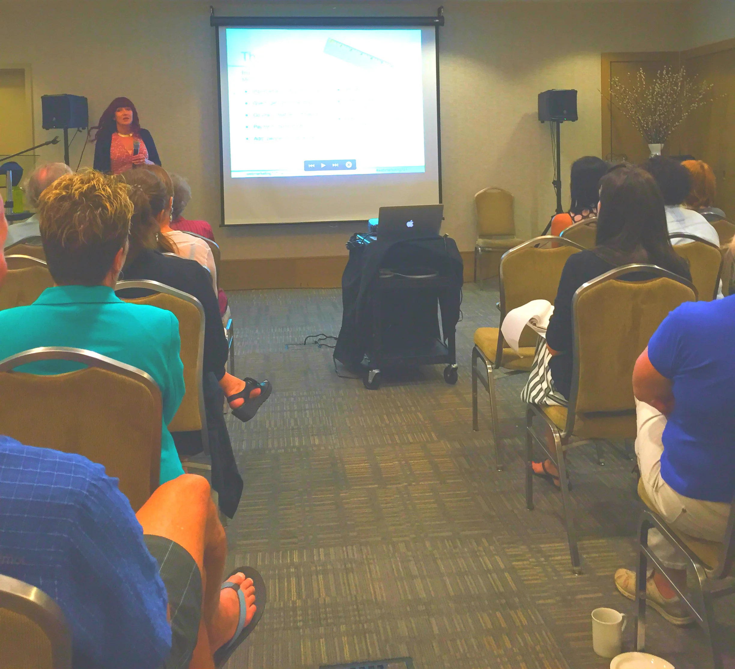 Speaking for The Sidney Business Improvement District