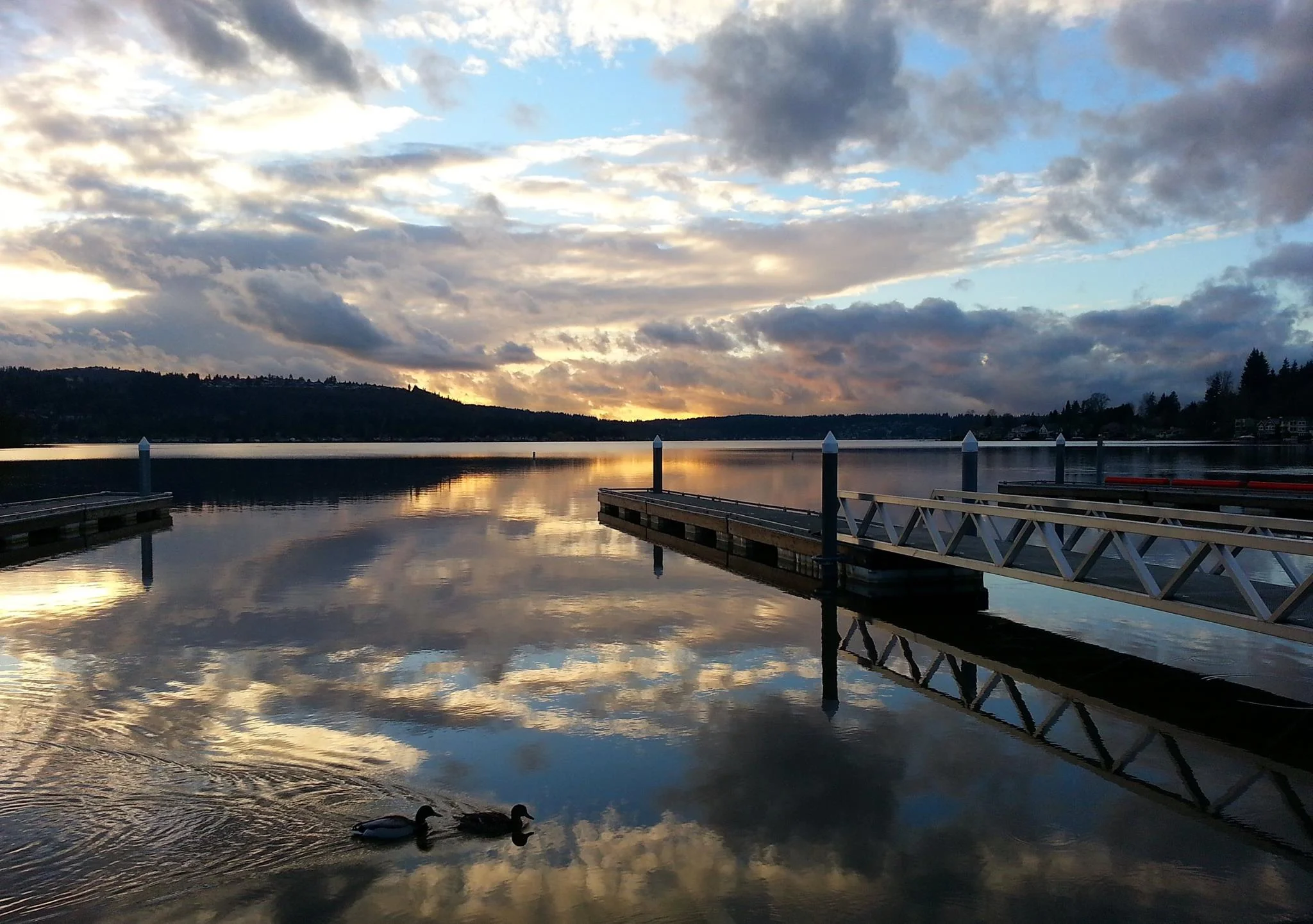 Docks-WithDucks.jpg