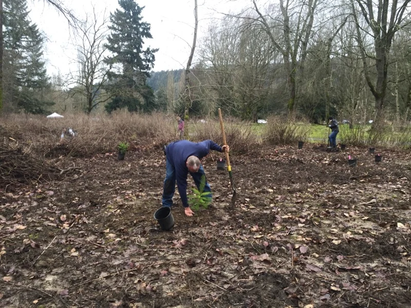 Planting-1.jpg