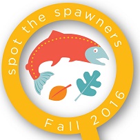 Salmon-SEEson-Button-square.jpg