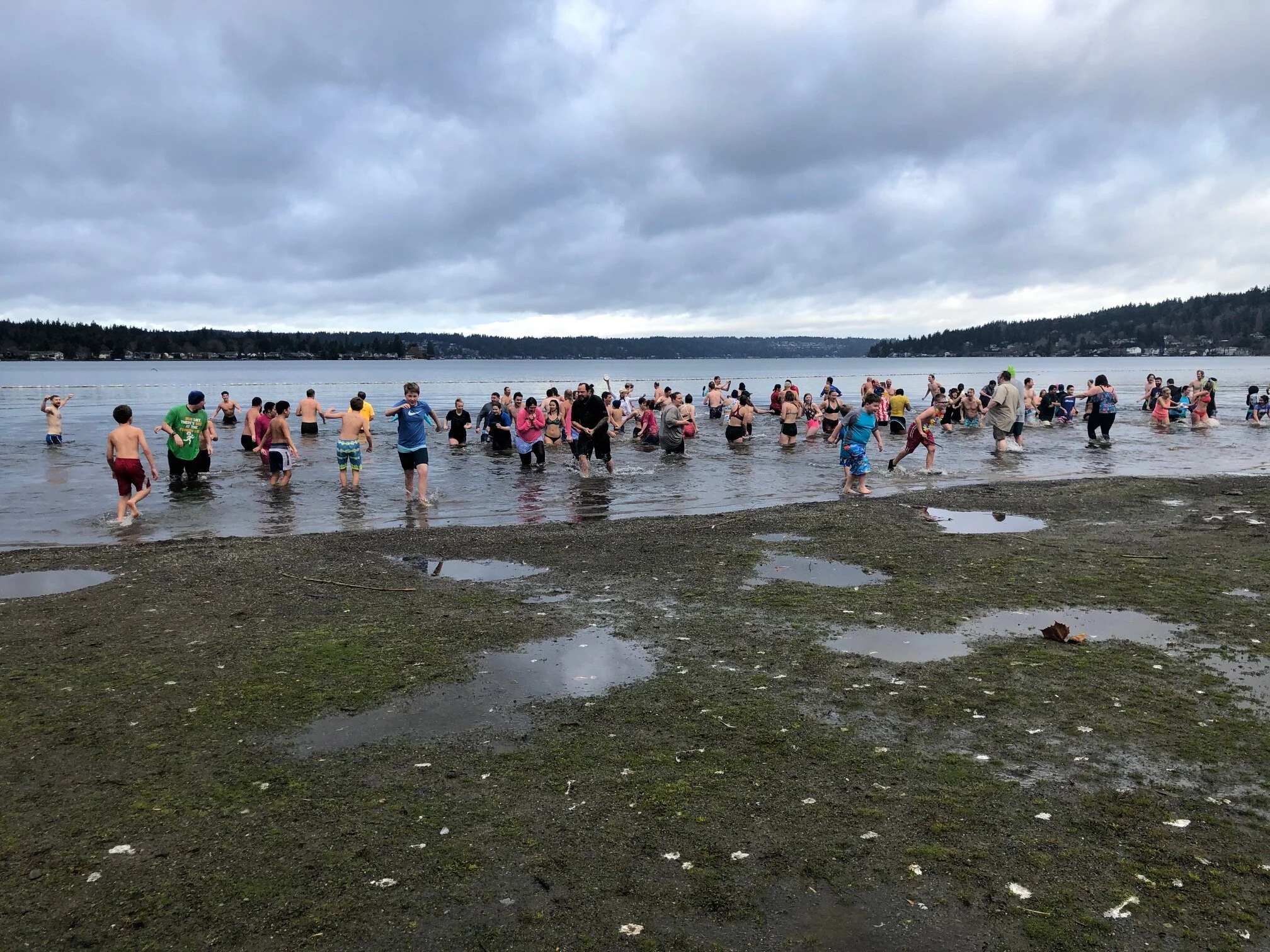 plunge4.jpg
